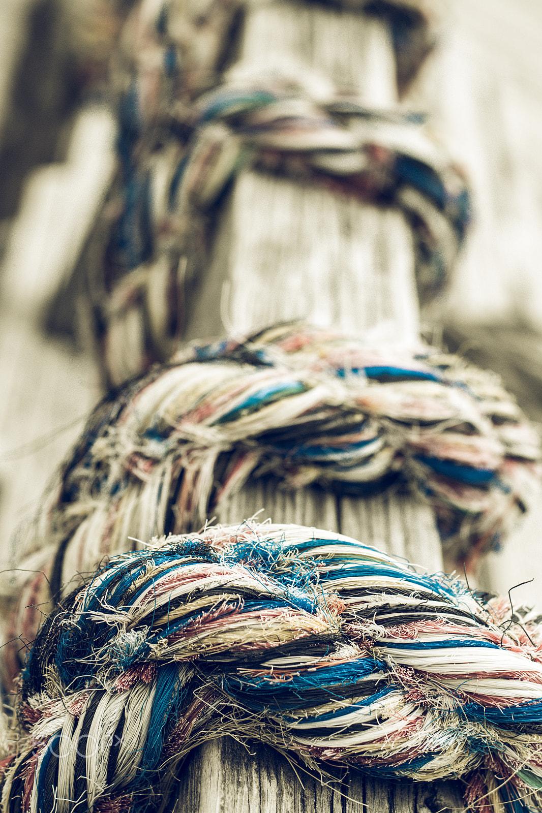 Canon EOS 80D + Canon EF 50mm F1.4 USM sample photo. Rope around pier railing photography