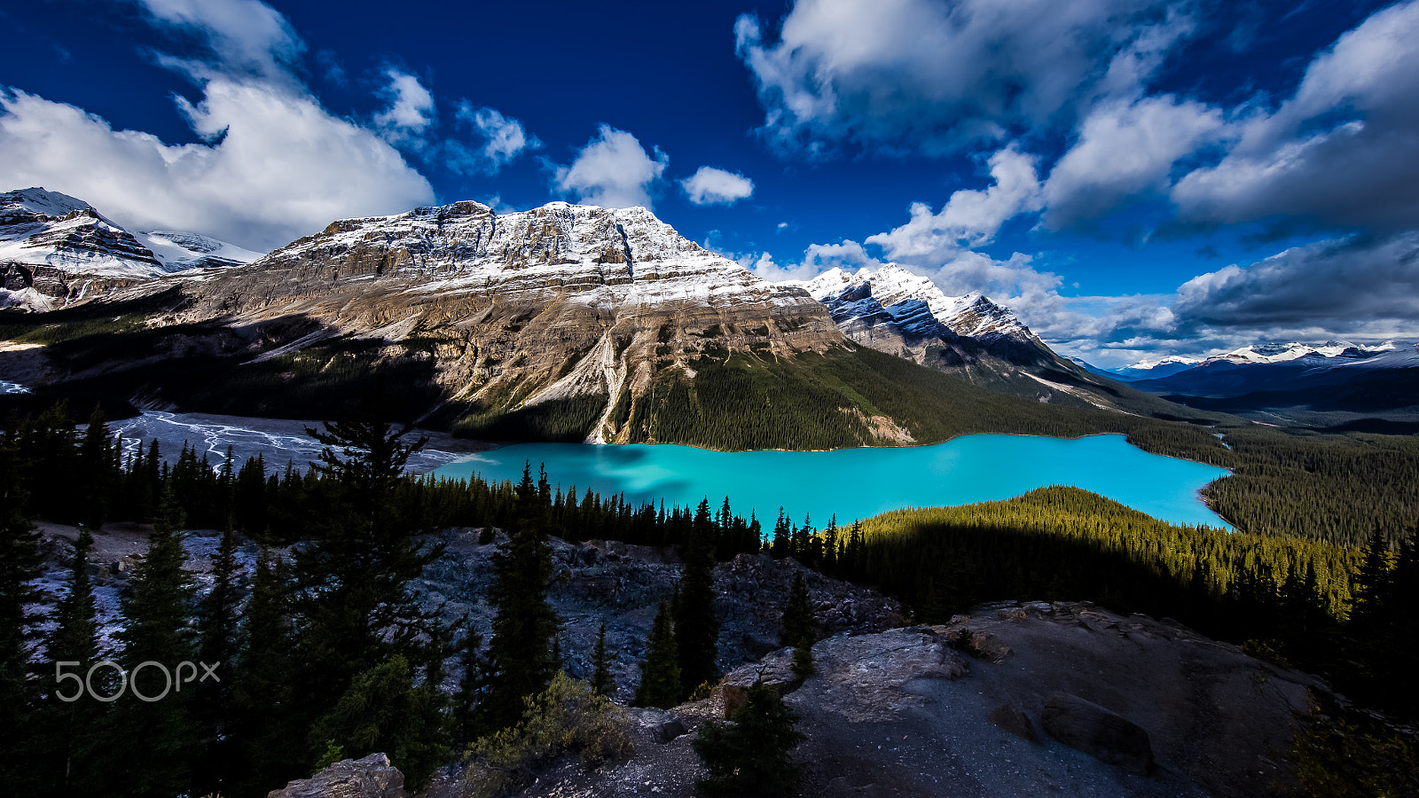 Canon EOS 6D + Canon EF 11-24mm F4L USM sample photo. Peyto lake photography