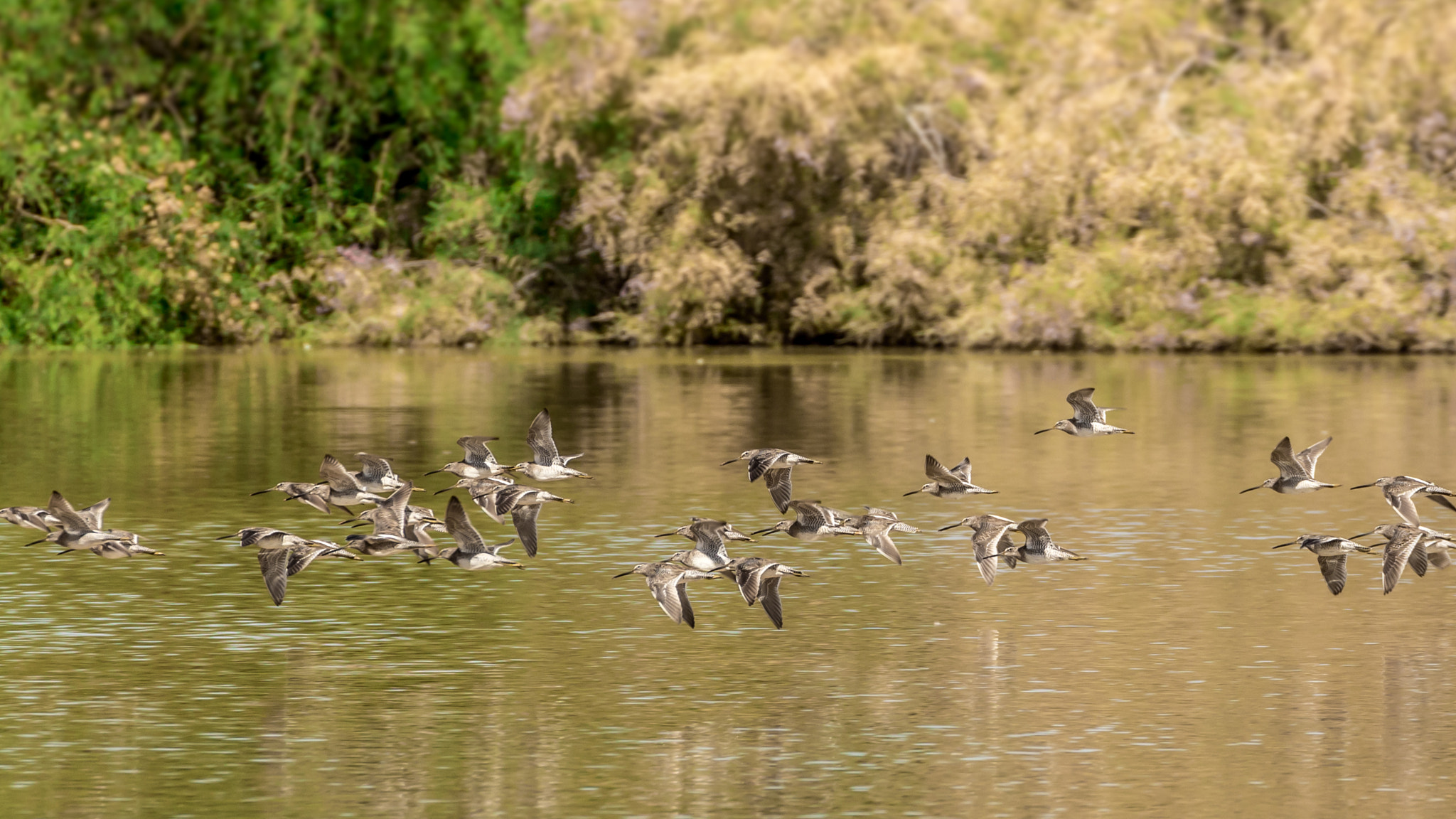 Canon EF 70-300mm F4-5.6L IS USM sample photo. Repositioning... photography