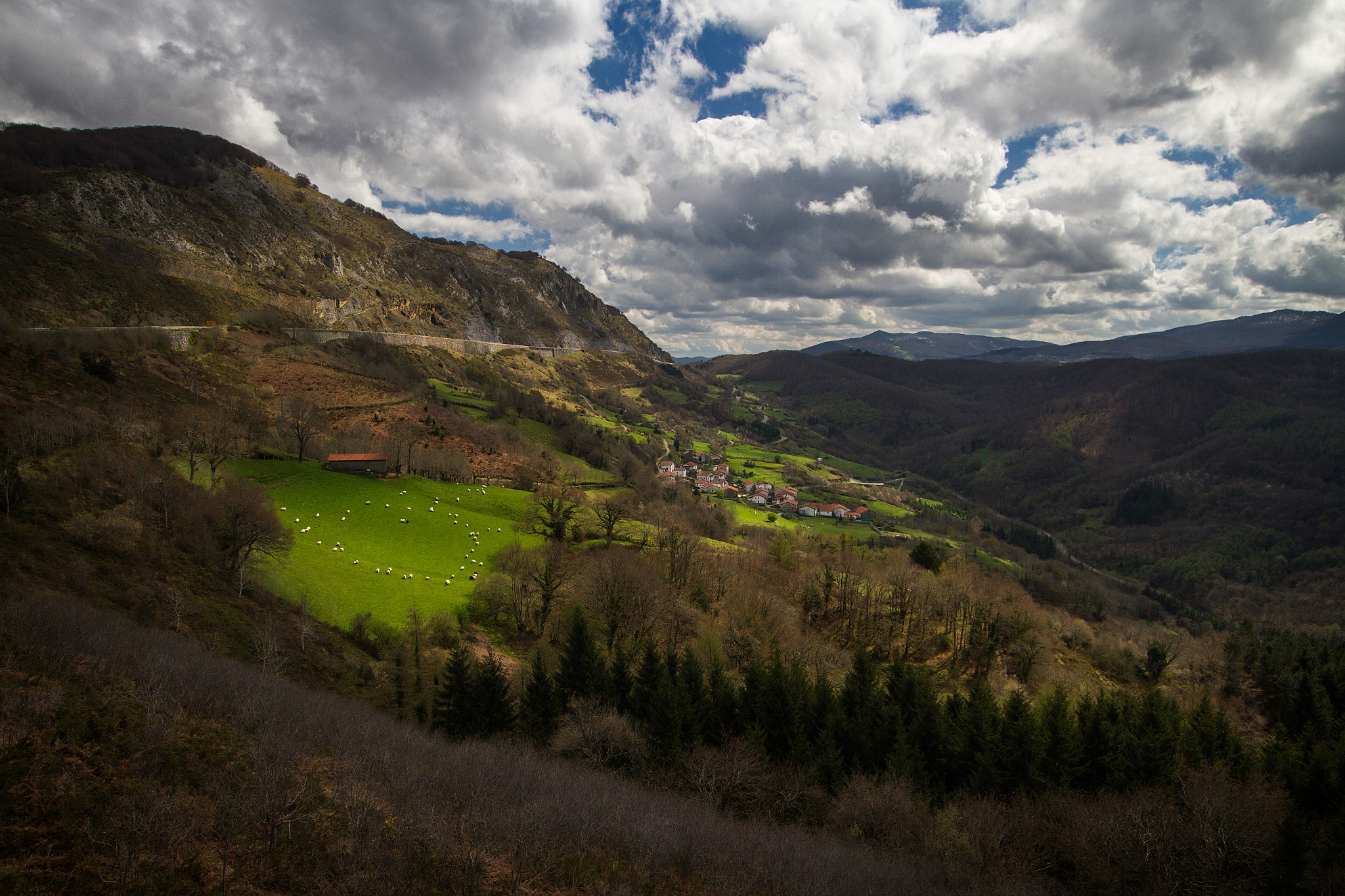 Sigma 10-20mm F3.5 EX DC HSM sample photo. Sheeps in love photography