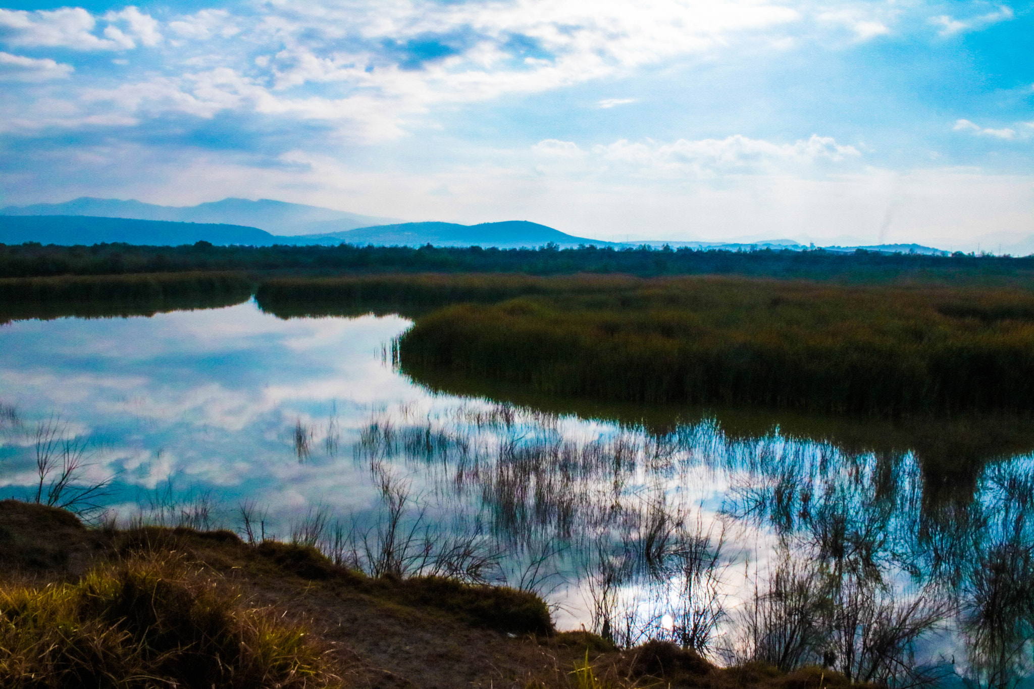 Canon EOS 750D (EOS Rebel T6i / EOS Kiss X8i) sample photo. Comosea photography