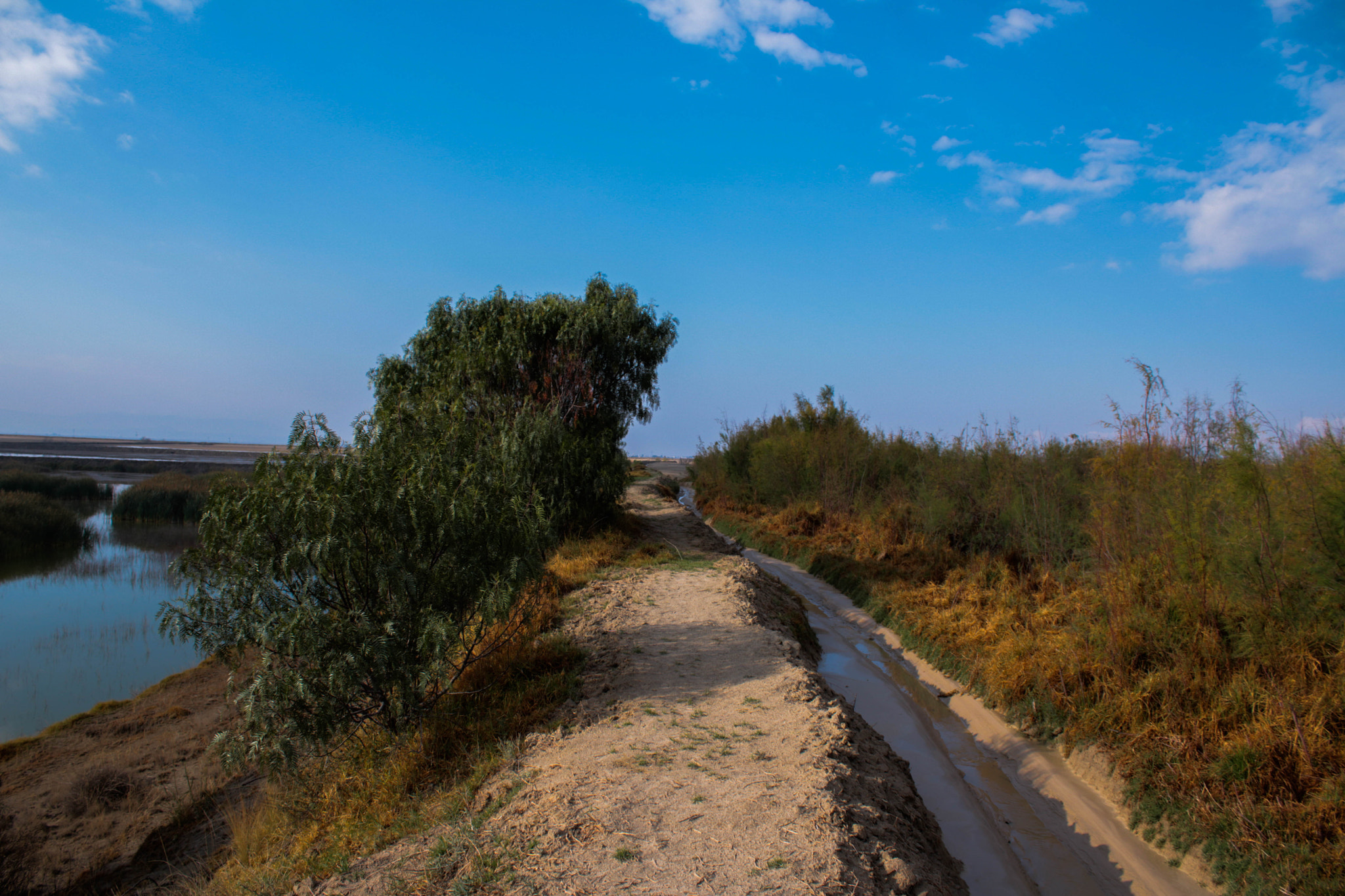 Canon EOS 750D (EOS Rebel T6i / EOS Kiss X8i) sample photo. Camino ) photography