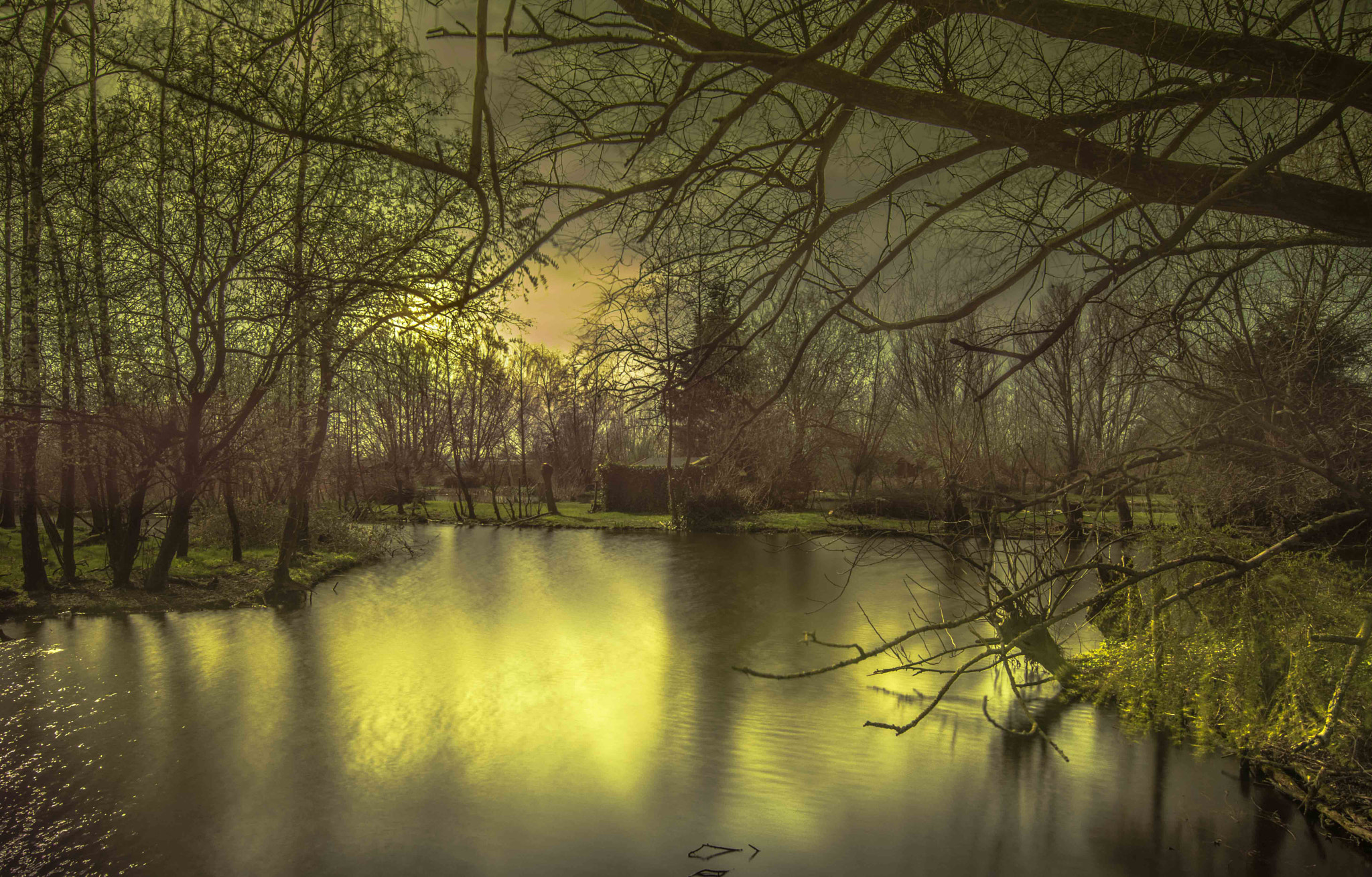 Nikon D7100 sample photo. Trees at the lake photography