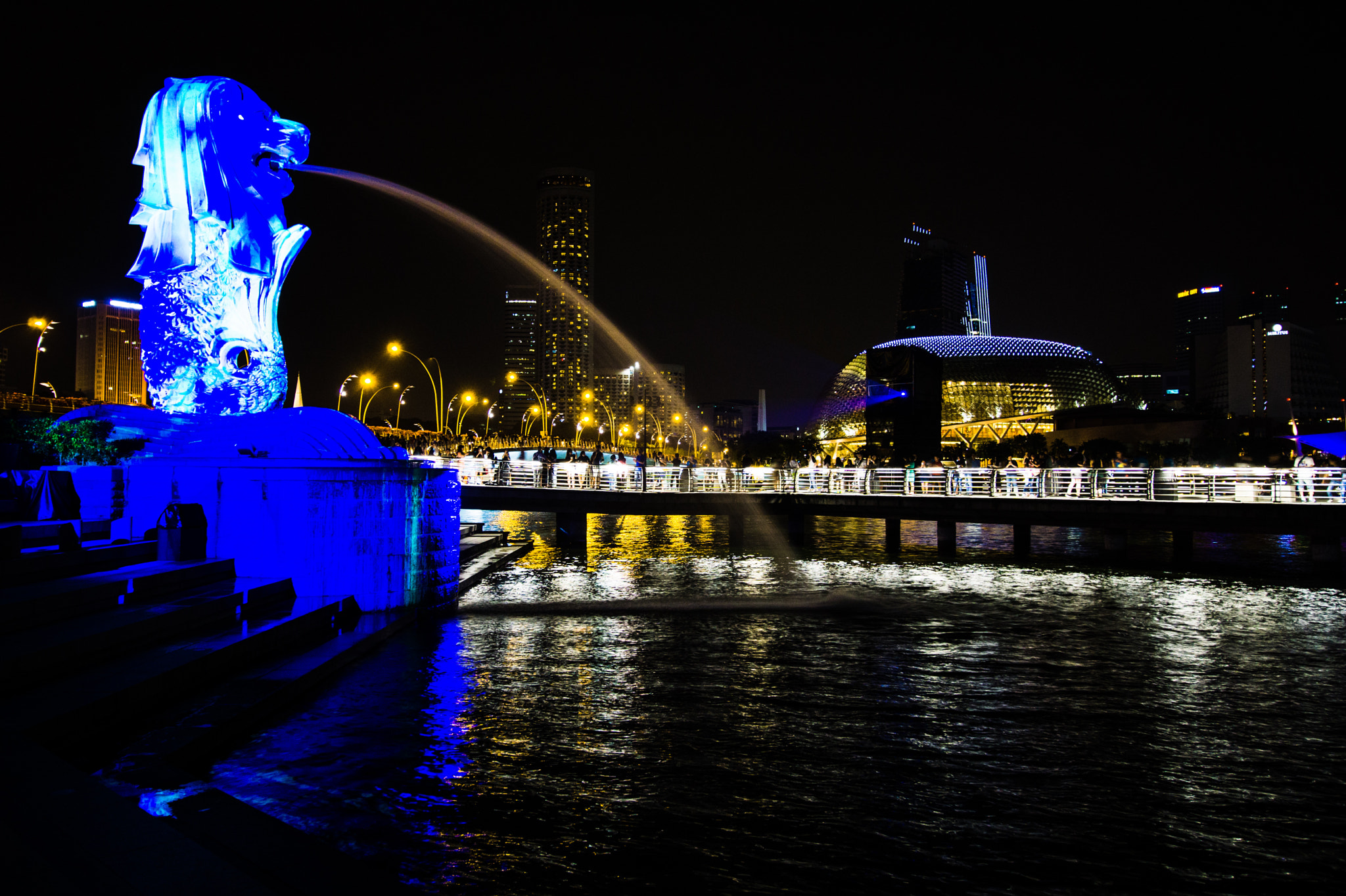Sony a6000 + Sony DT 50mm F1.8 SAM sample photo. The cold blooded lion #ilightmarinabay photography