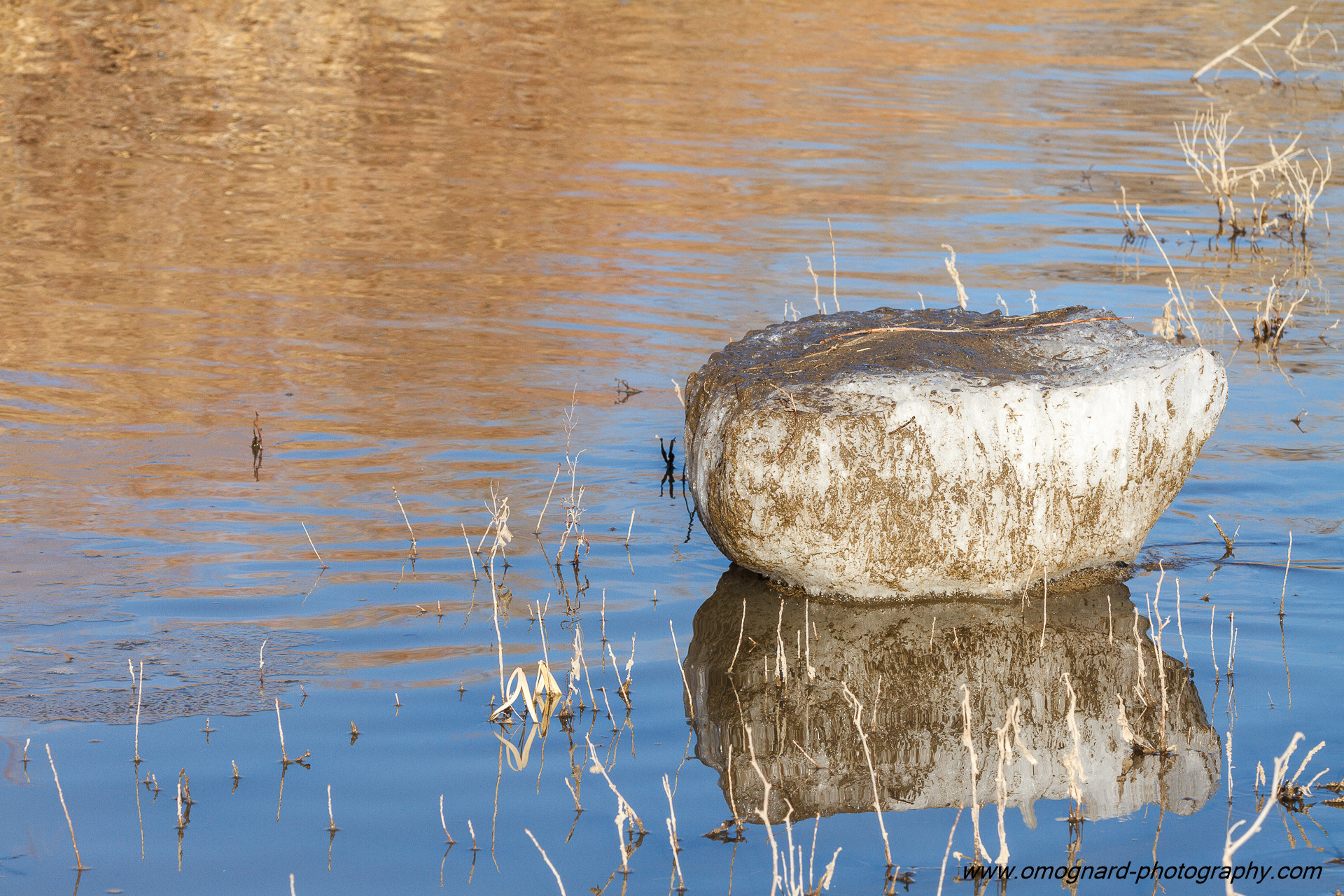 Canon EF 70-200mm F2.8L IS II USM sample photo. Reflet glacé photography