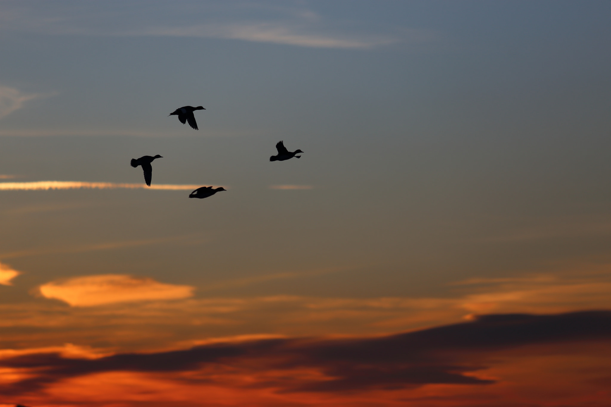 Canon EOS 6D sample photo. Synchronised flying photography