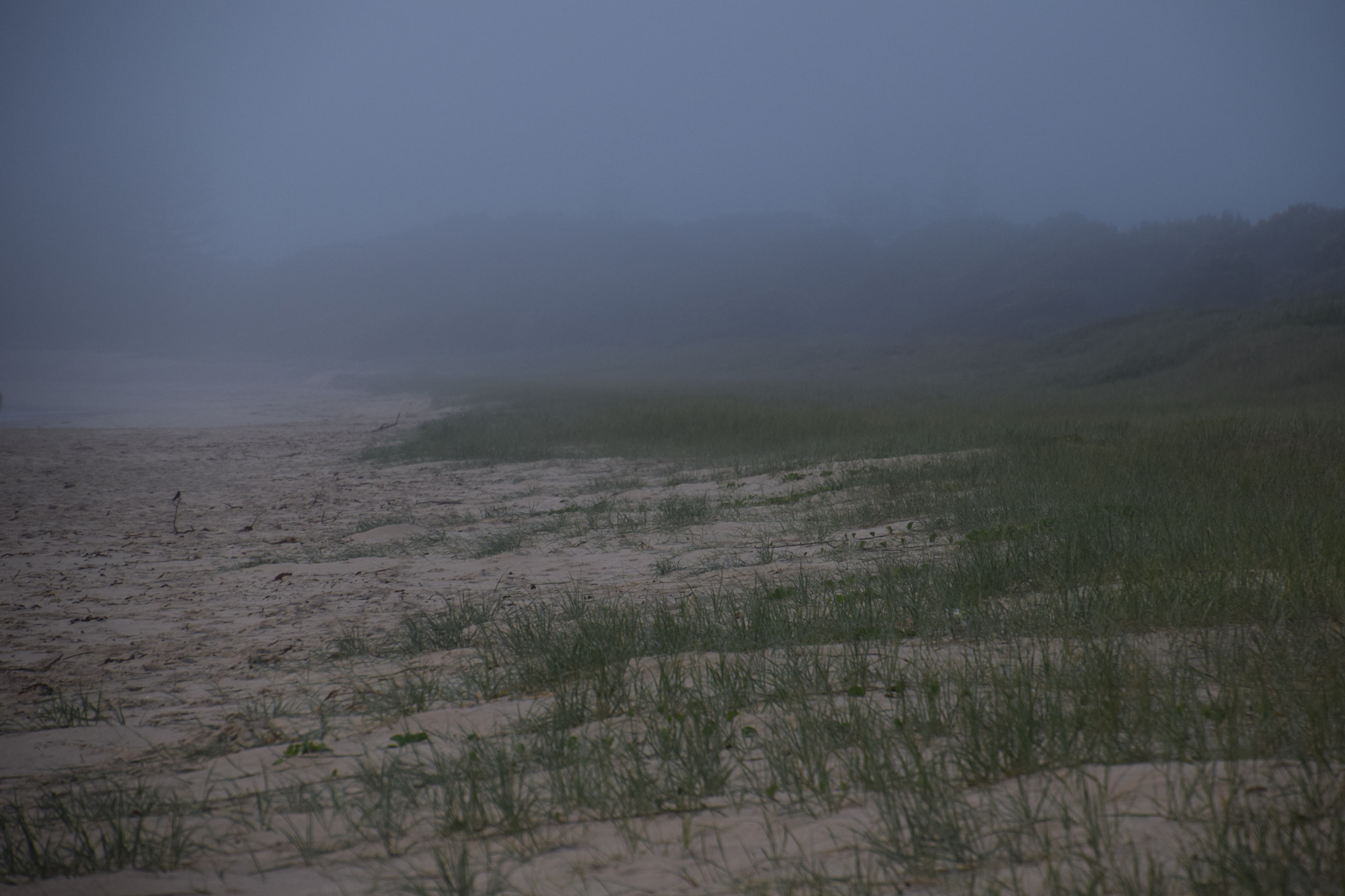 Nikon D5300 sample photo. Misty sunrise photography