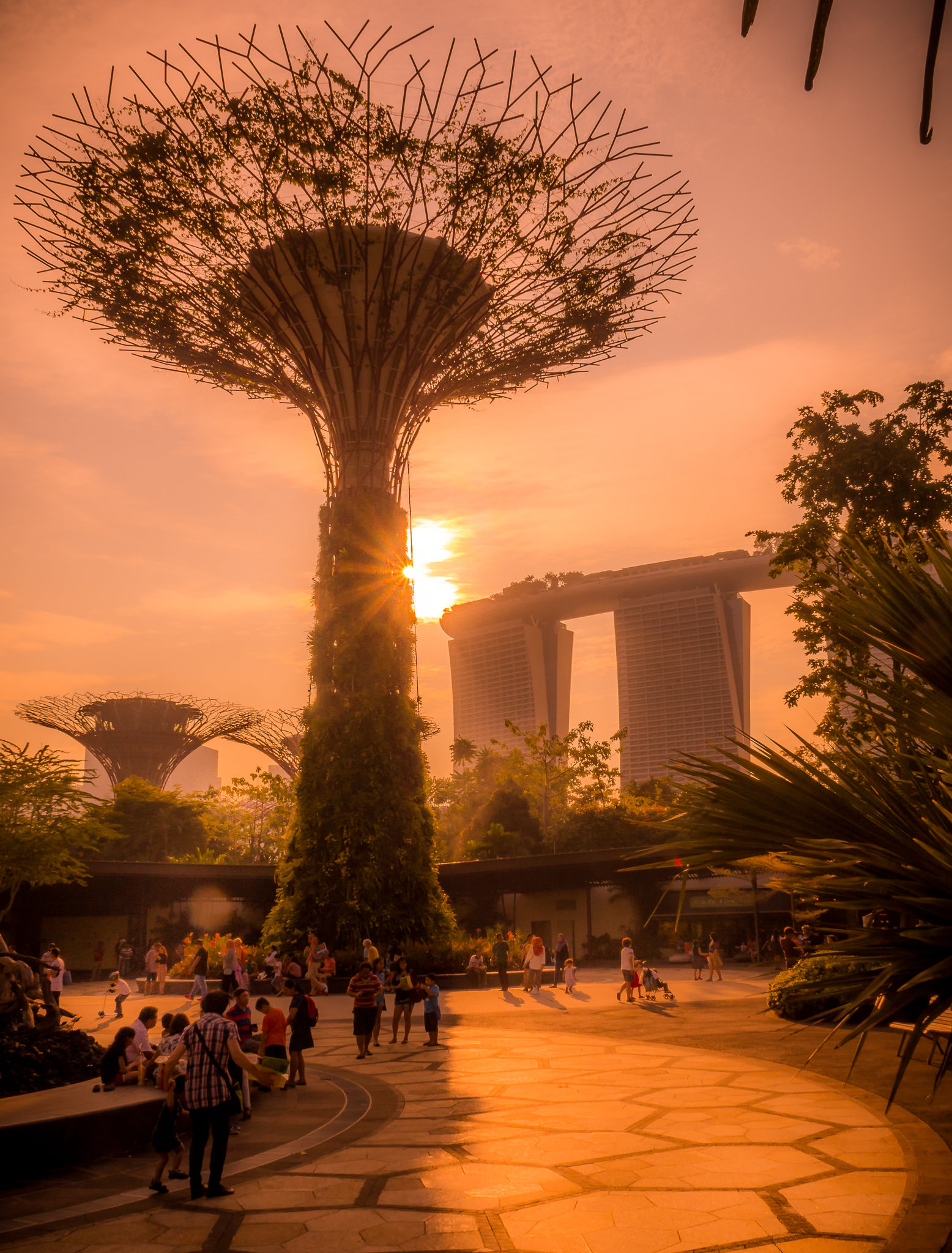 Olympus OM-D E-M10 sample photo. Supertree grove at garden by the bay photography