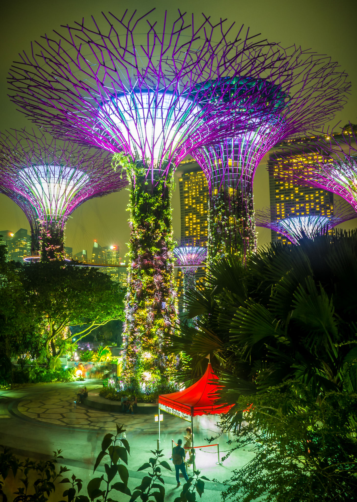 Olympus OM-D E-M10 sample photo. Supertree grove at garden by the bay photography