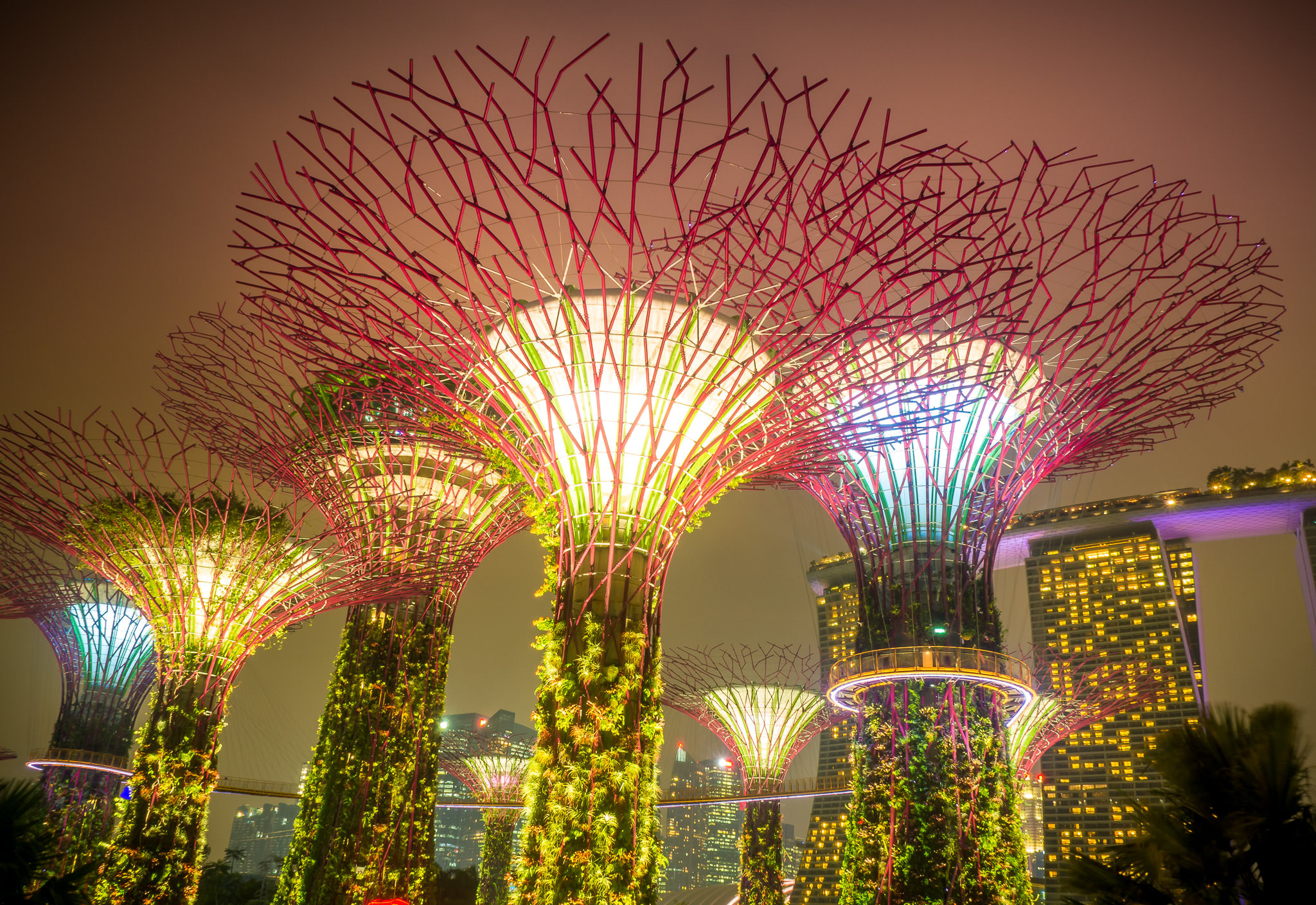 Olympus OM-D E-M10 sample photo. Supertree grove at garden by the bay photography