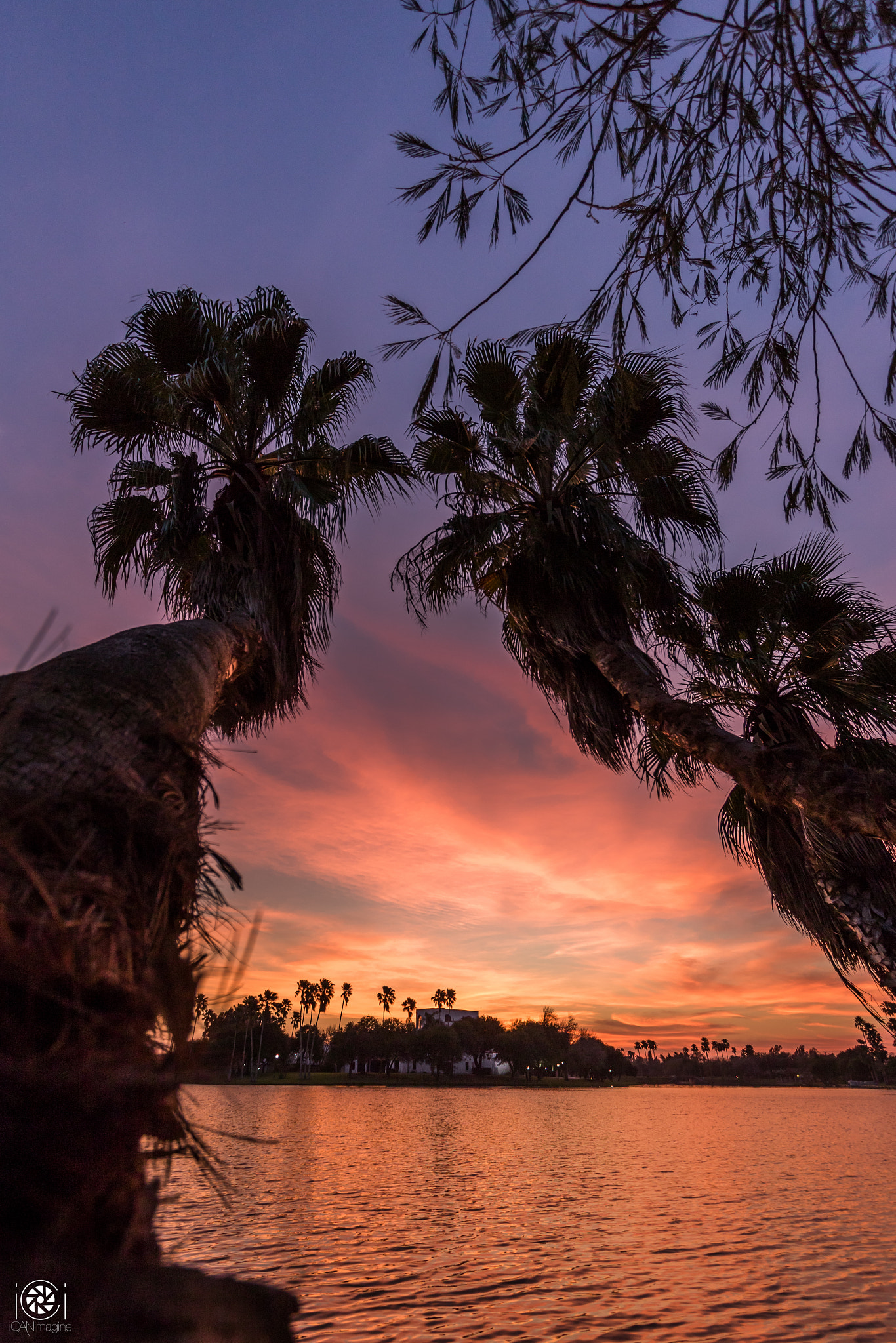 Canon EF-S 10-22mm F3.5-4.5 USM sample photo. Palms sunset photography