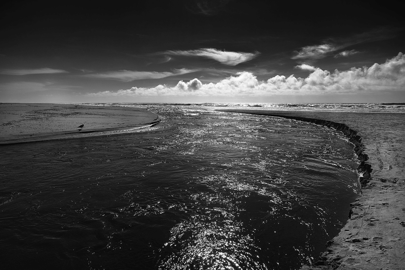 Fujifilm X-T20 + Fujifilm XF 14mm F2.8 R sample photo. The lone seagull photography