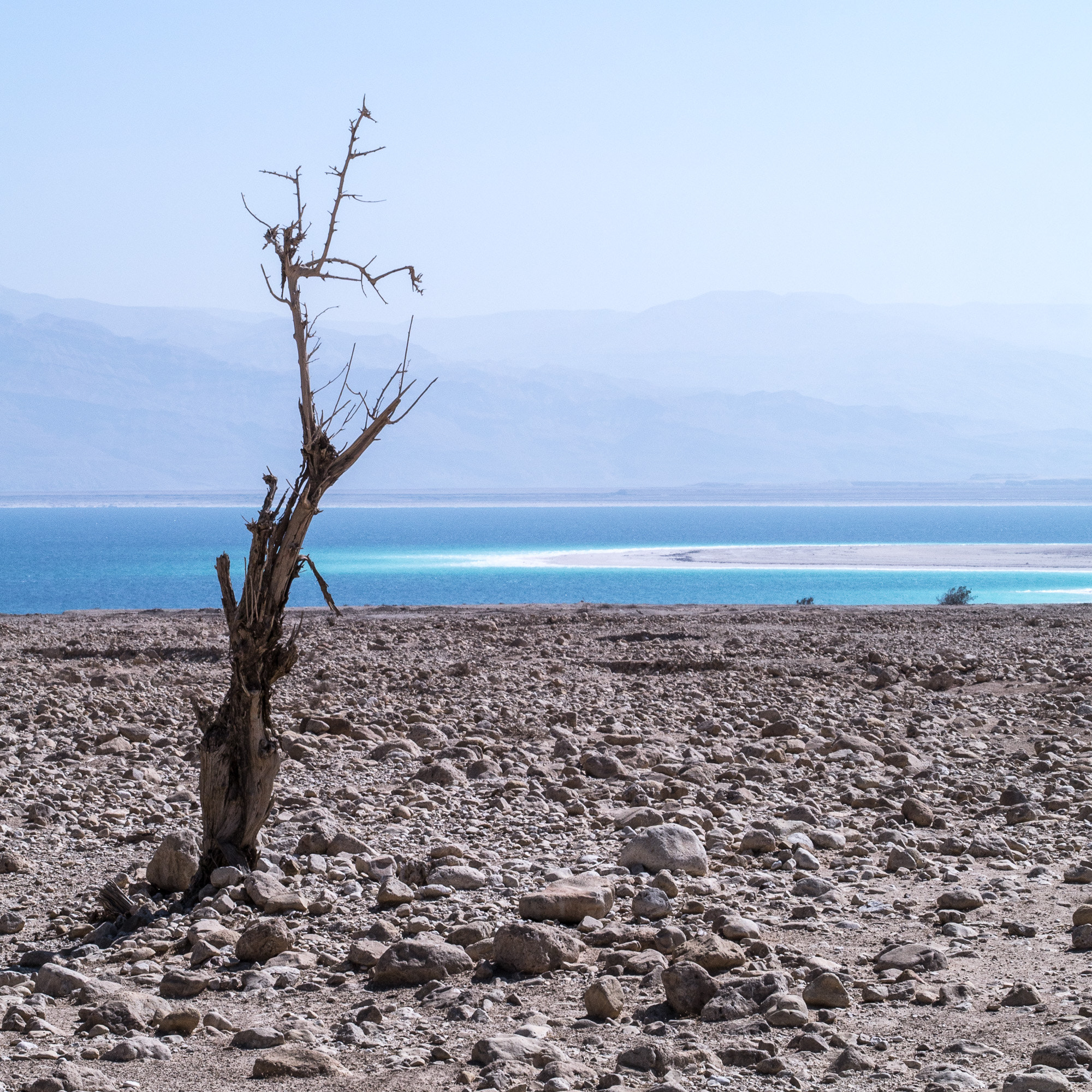 Panasonic Lumix DMC-GX1 sample photo. Israel photography