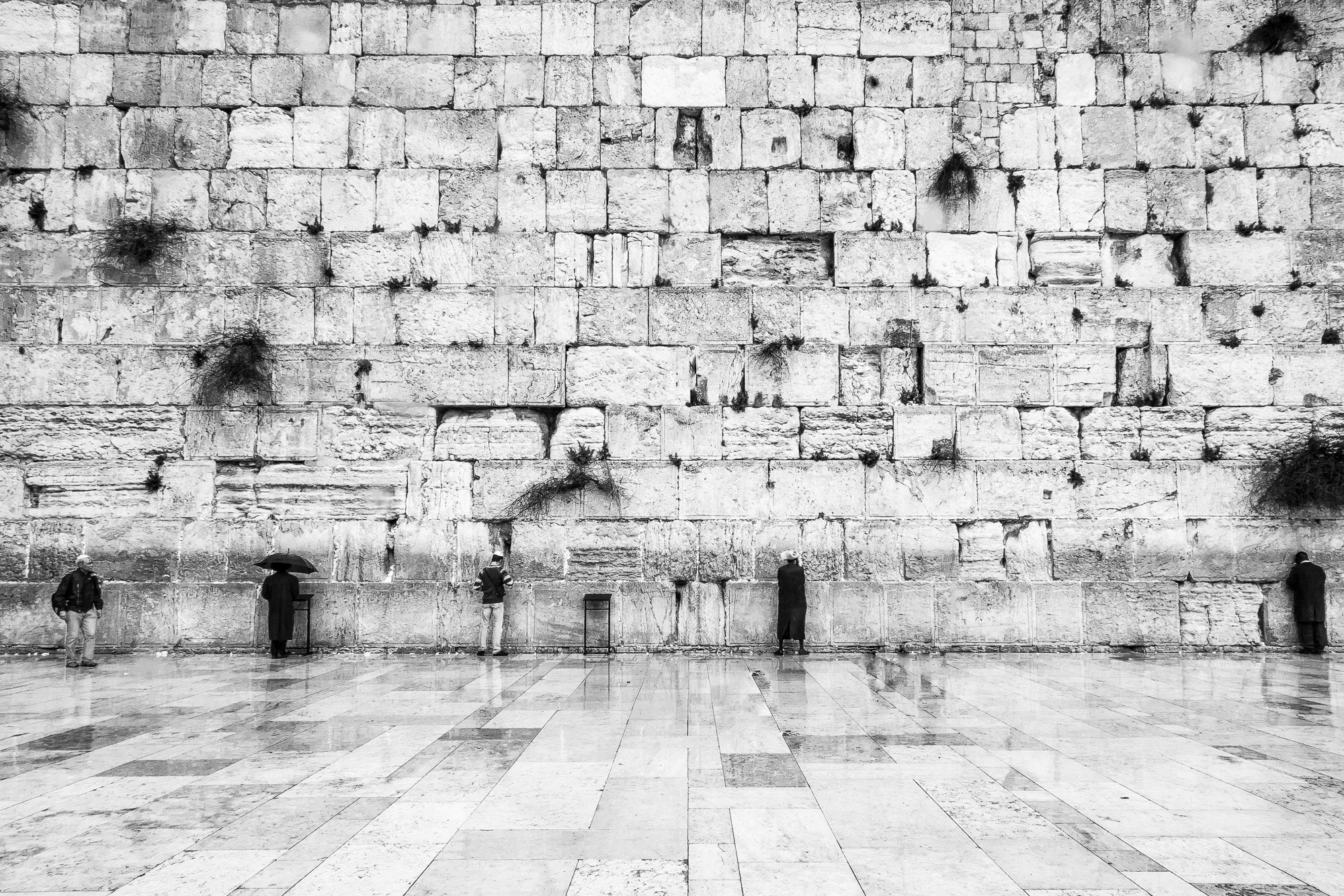 Canon EF-S 17-85mm F4-5.6 IS USM sample photo. Israel photography
