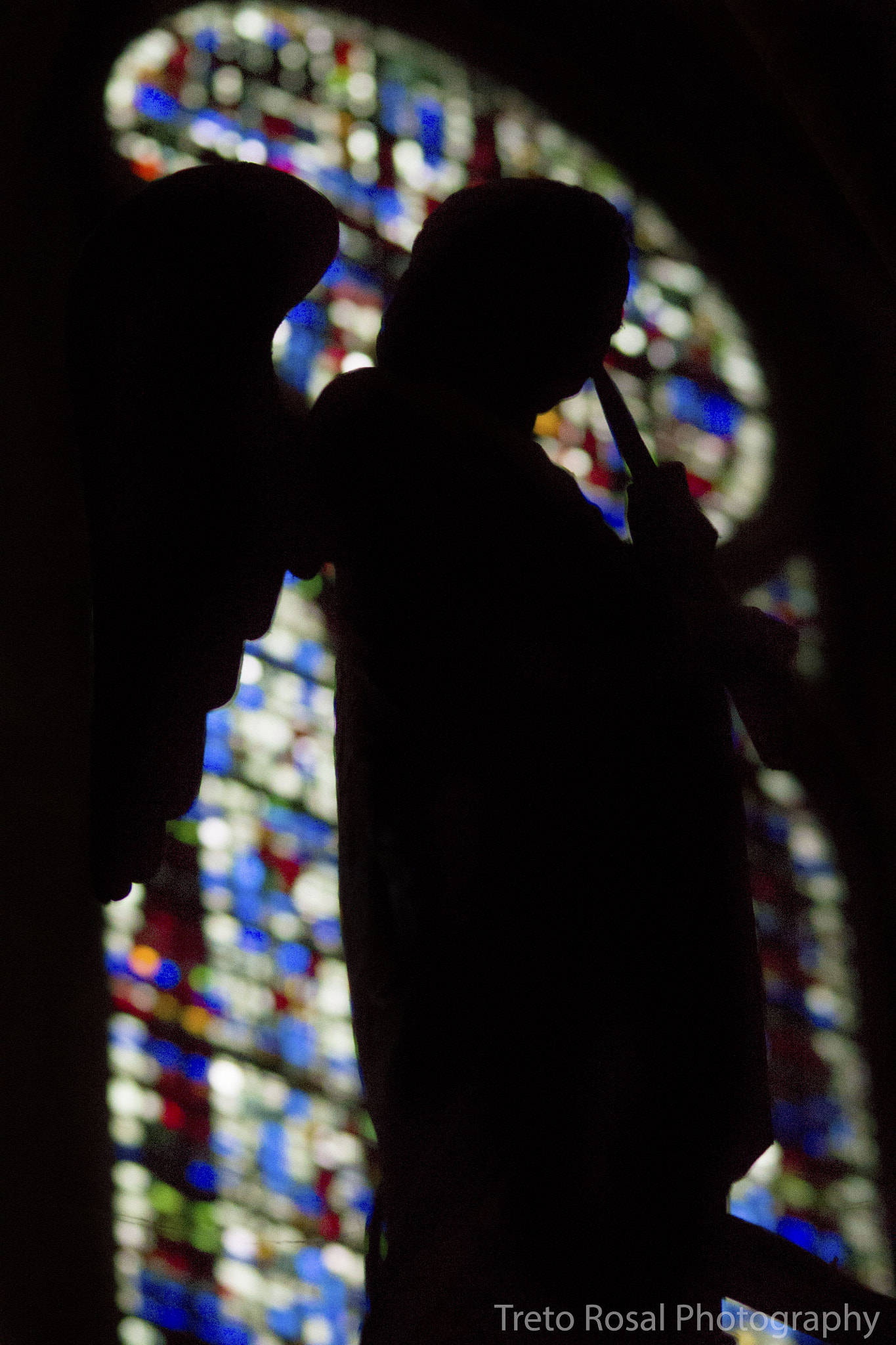 Sigma 150-500mm F5-6.3 DG OS HSM sample photo. Angel playing photography