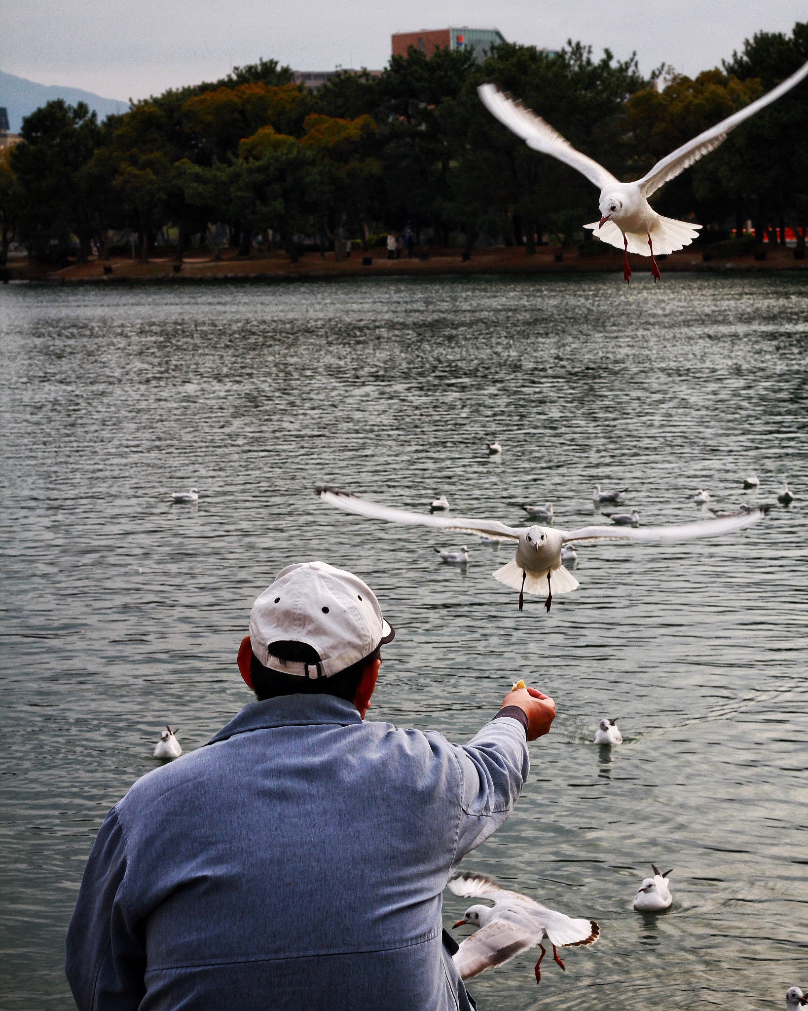 Canon EOS 7D + Canon EF 50mm F1.8 STM sample photo. Feeding time. photography