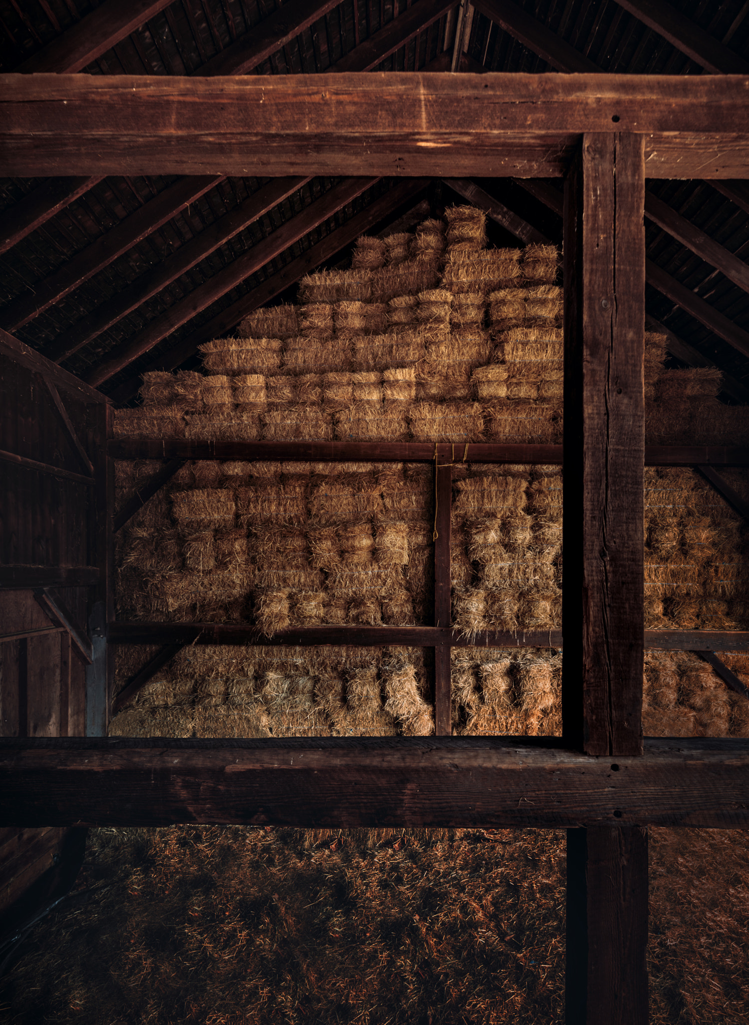 Nikon D750 sample photo. Inside the barn photography