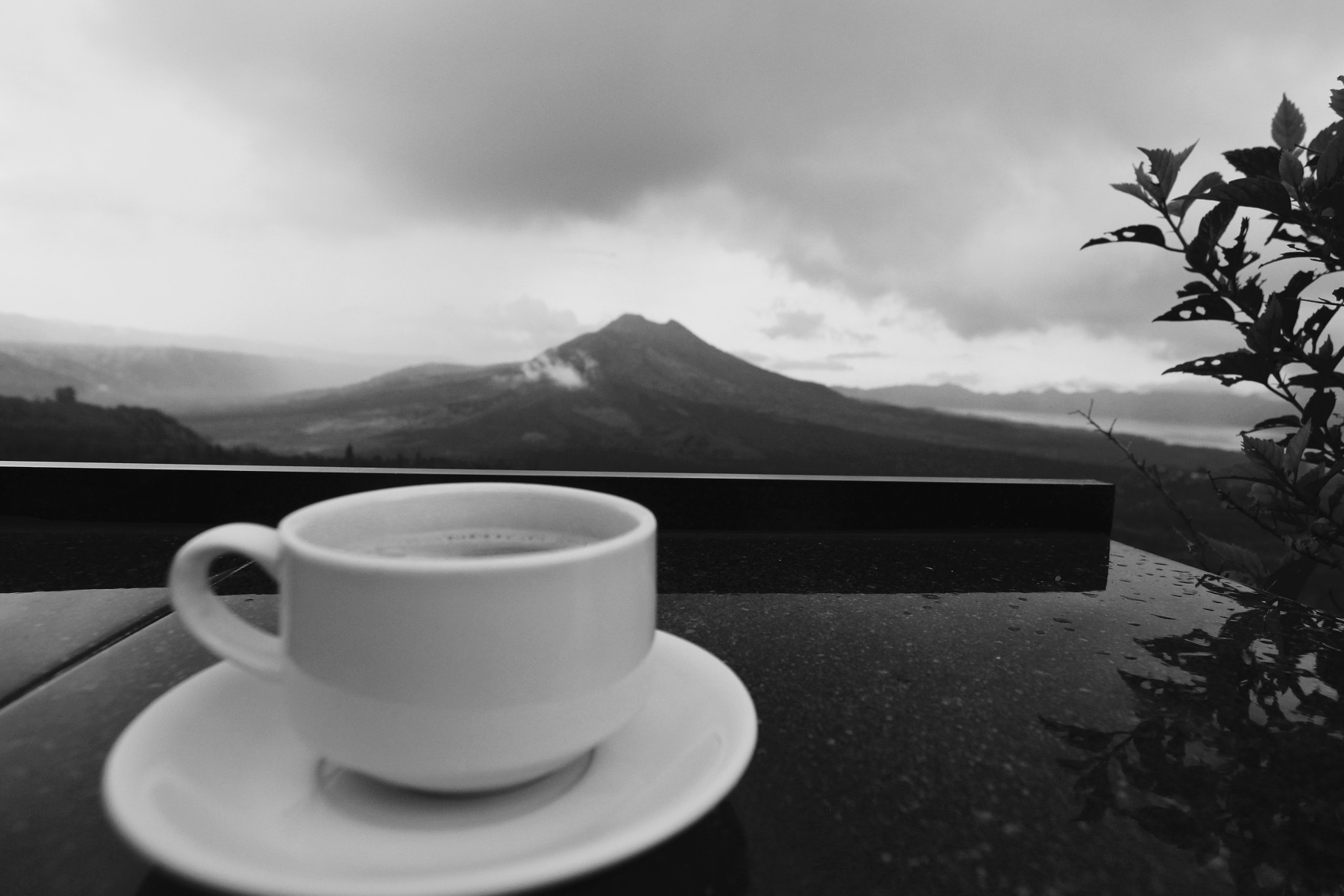Canon EOS 600D (Rebel EOS T3i / EOS Kiss X5) sample photo. Coffee with a view photography