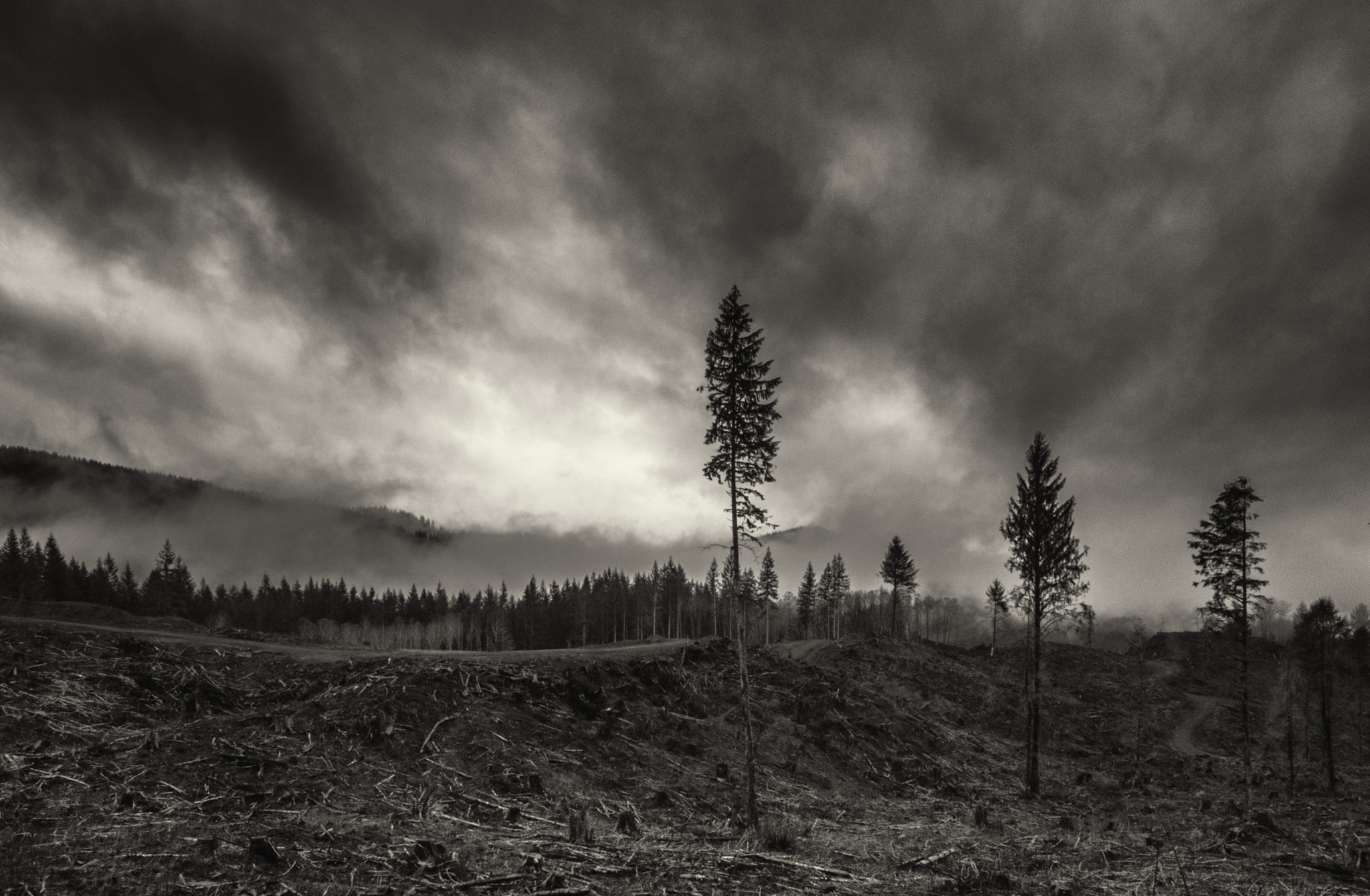 Sigma 10-20mm F3.5 EX DC HSM sample photo. Clearcut photography