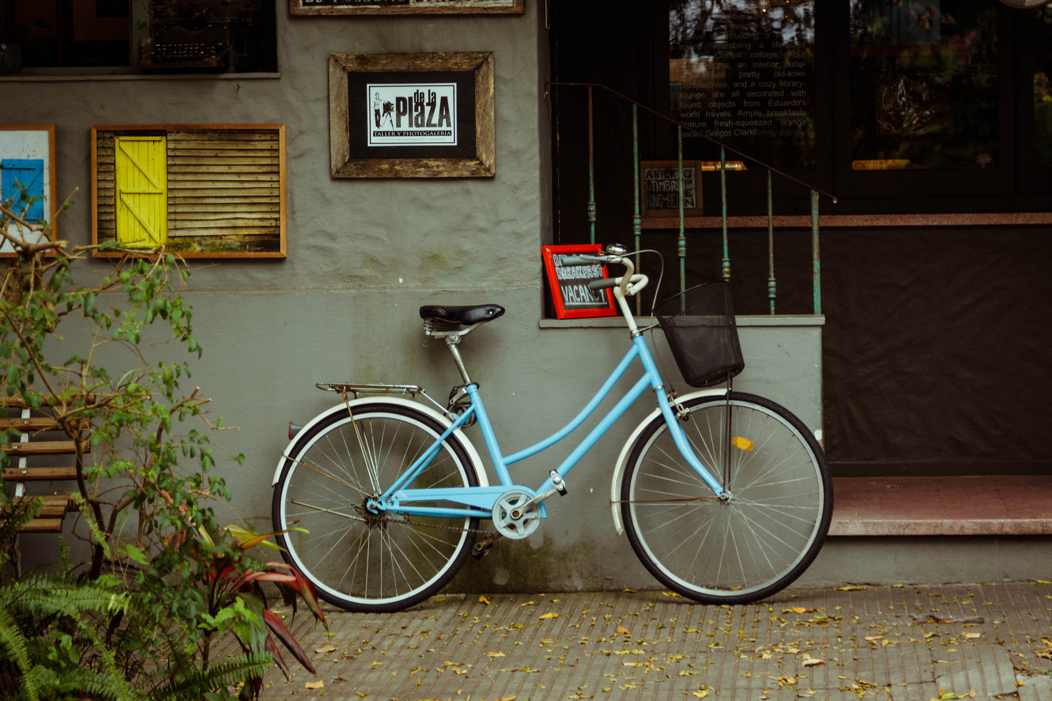 Canon EOS 50D + Canon EF 24-105mm F4L IS USM sample photo. Blue bike photography