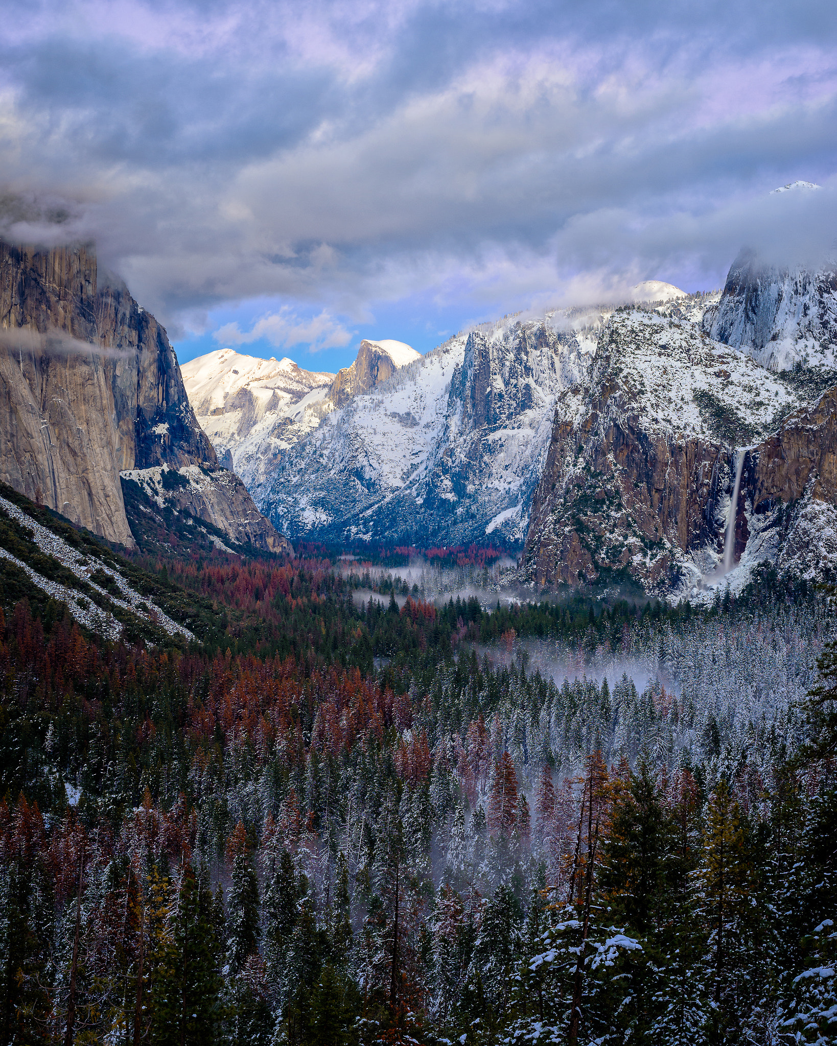 Nikon D600 sample photo. Tunnel view photography