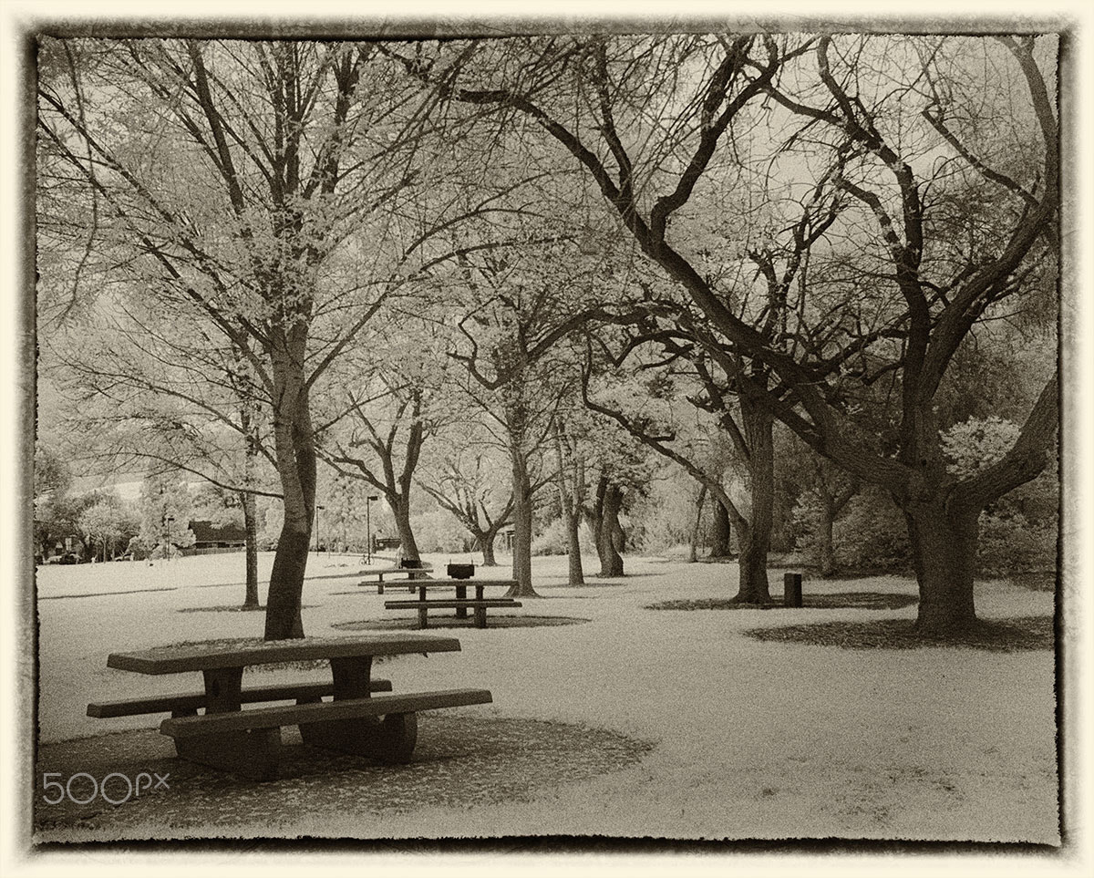 Samsung NX100 sample photo. Empty picnic tables photography