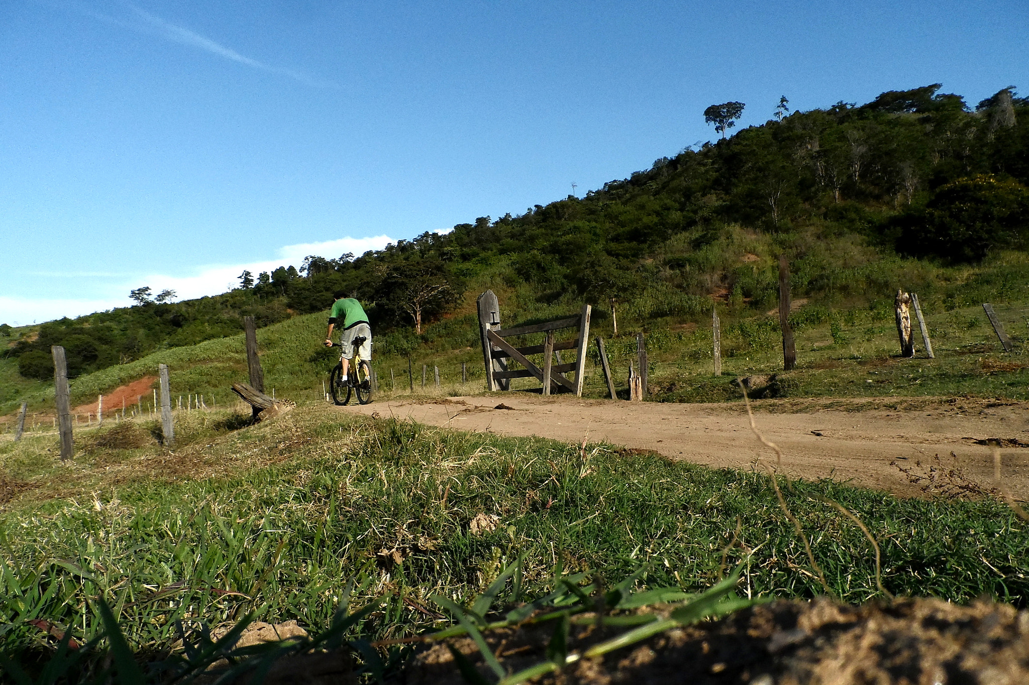 Samsung WB150 / WB150F / WB152 / WB152F / WB151 / WB151F / WB140 sample photo. Tarde de domingo livre photography