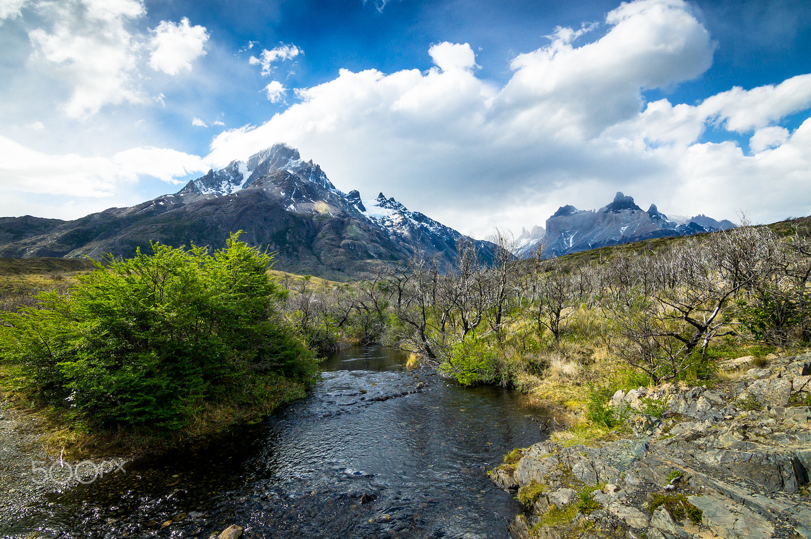 Sony SLT-A58 + 20mm F2.8 sample photo. Patagonia chilena photography