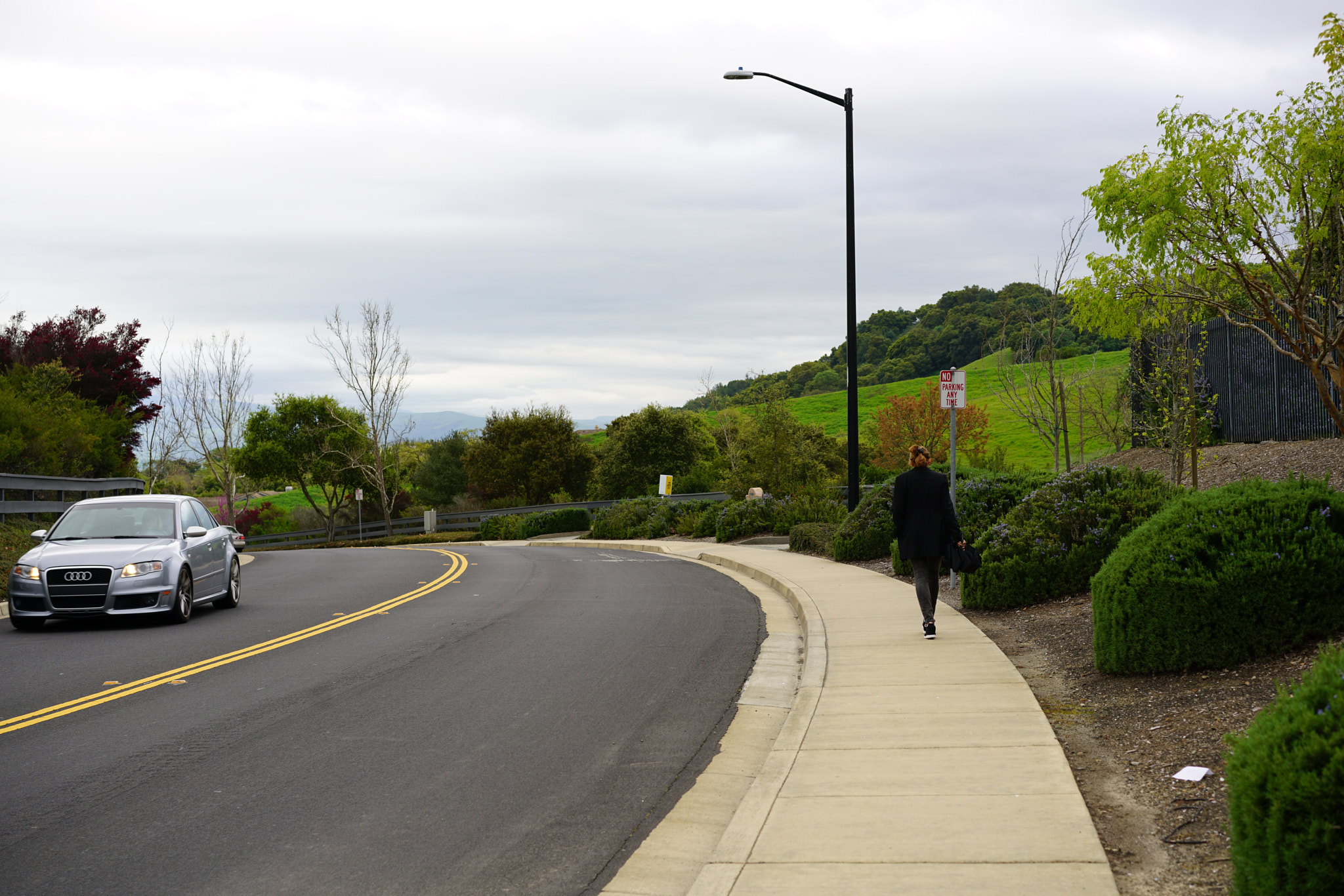 Sony a7R II + Sony Sonnar T* FE 55mm F1.8 ZA sample photo. Pleasanton photography