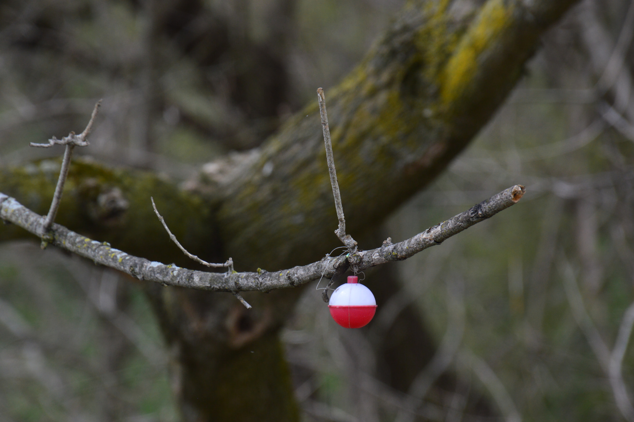 Nikon D3200 sample photo. The tale of the frustrated fisherman  photography