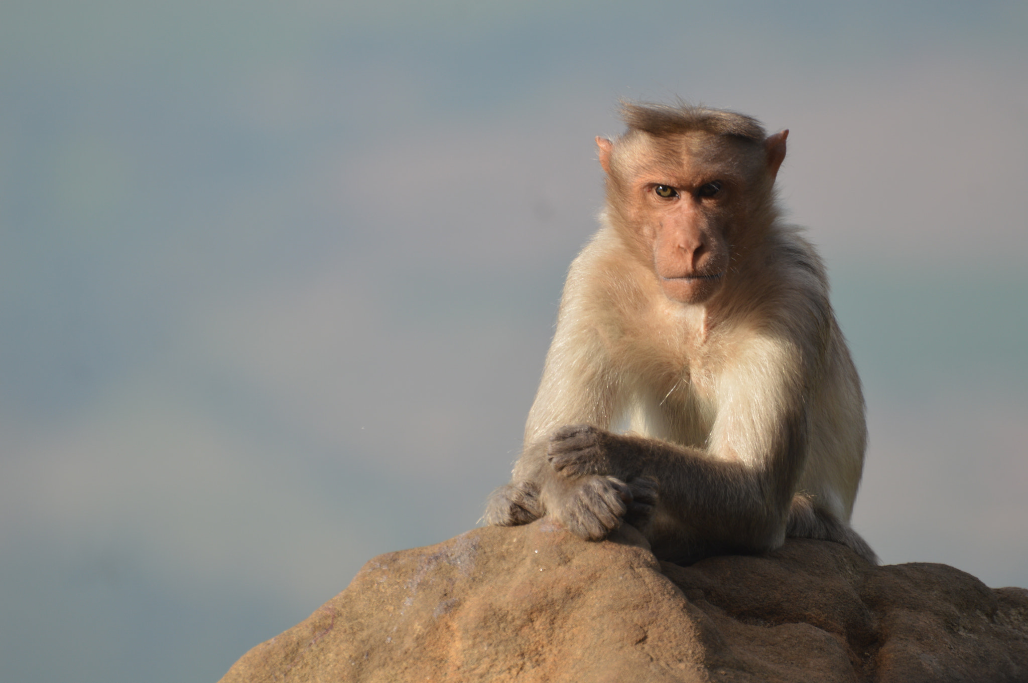Nikon D3200 sample photo. From india photography