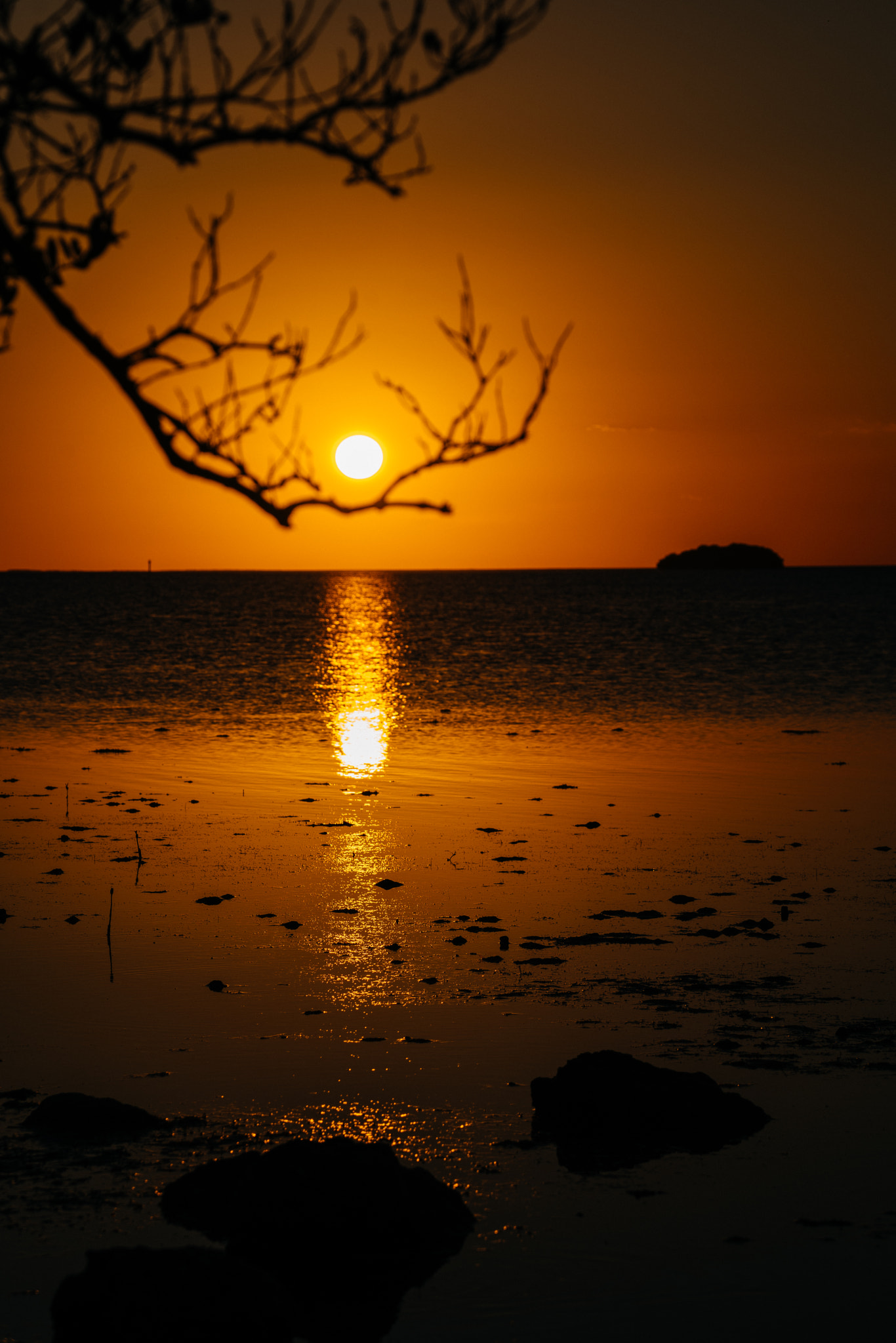 Sony FE 70-300mm F4.5-5.6 G OSS sample photo. By eduardo merille photography