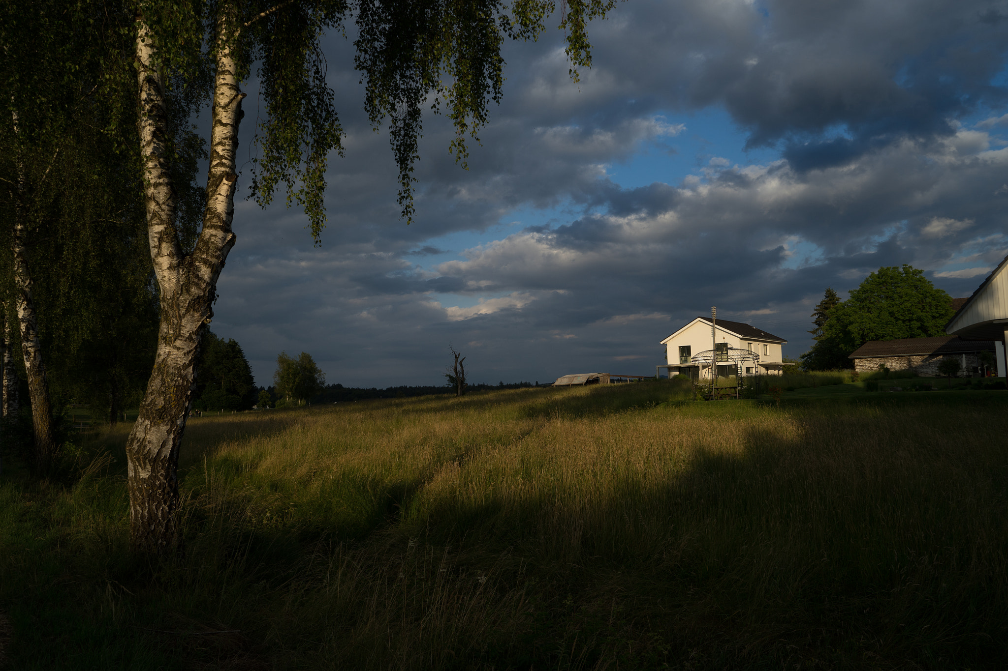 Sony a7 + Sony Vario Tessar T* FE 24-70mm F4 ZA OSS sample photo. House1 photography