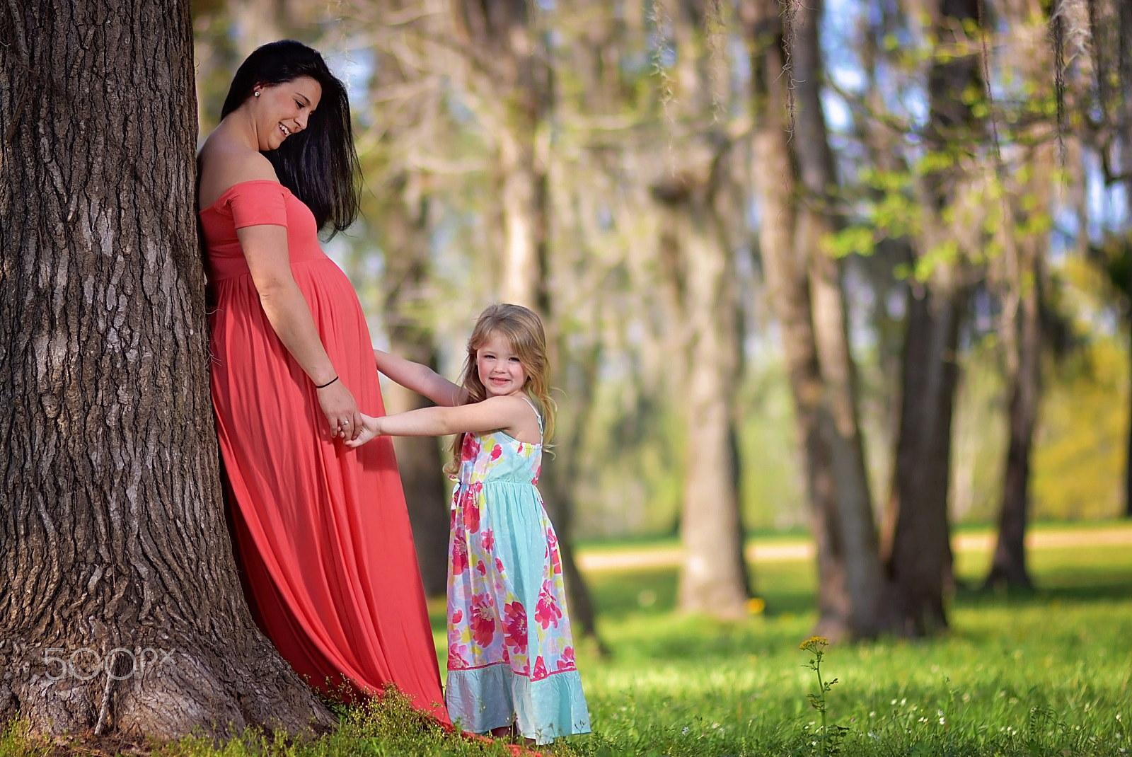 Nikon AF-S Nikkor 24-70mm F2.8G ED sample photo. Kaylan photography