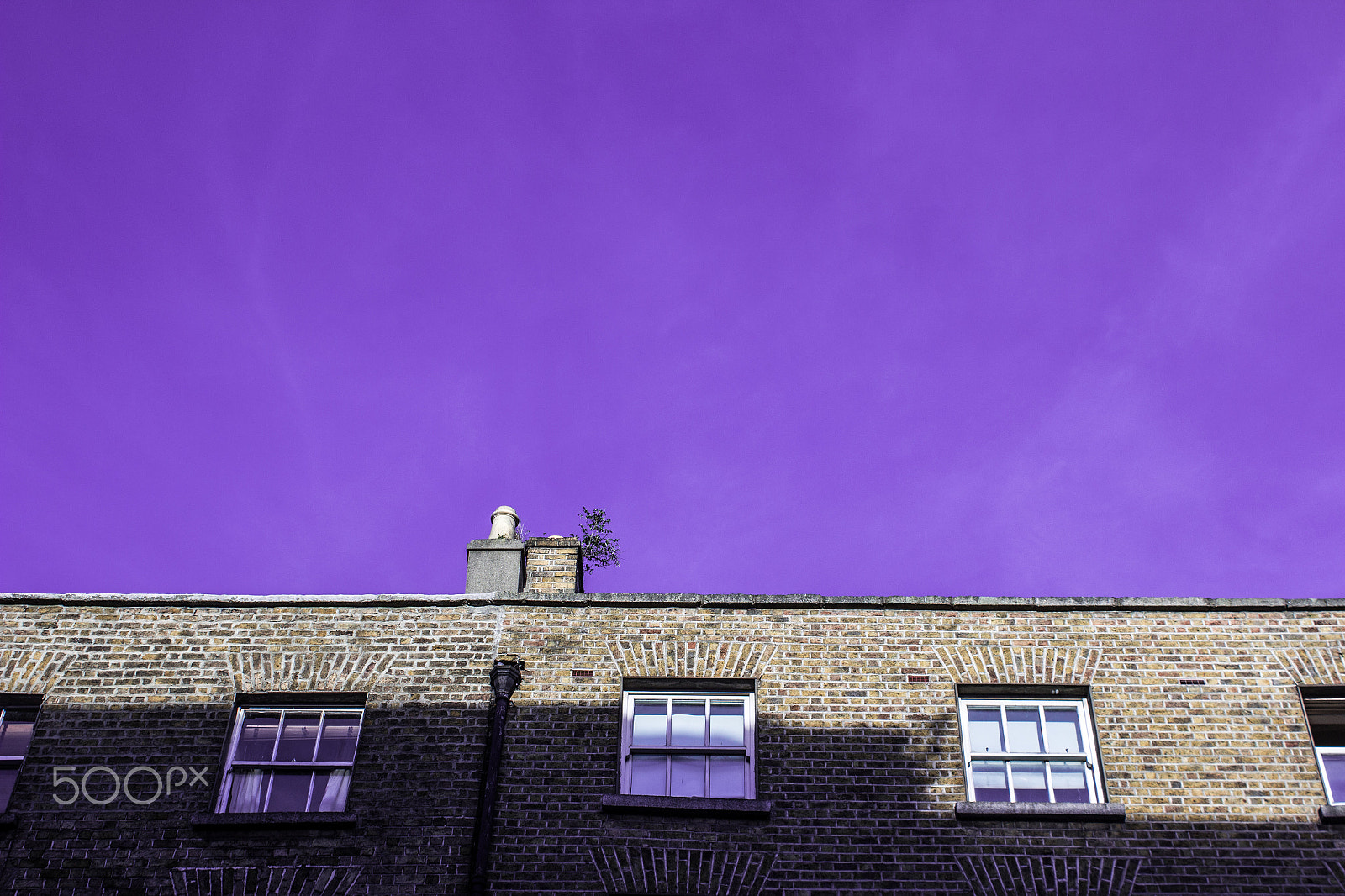 Canon EF-S 18-55mm F3.5-5.6 IS sample photo. Dublin - violet photography