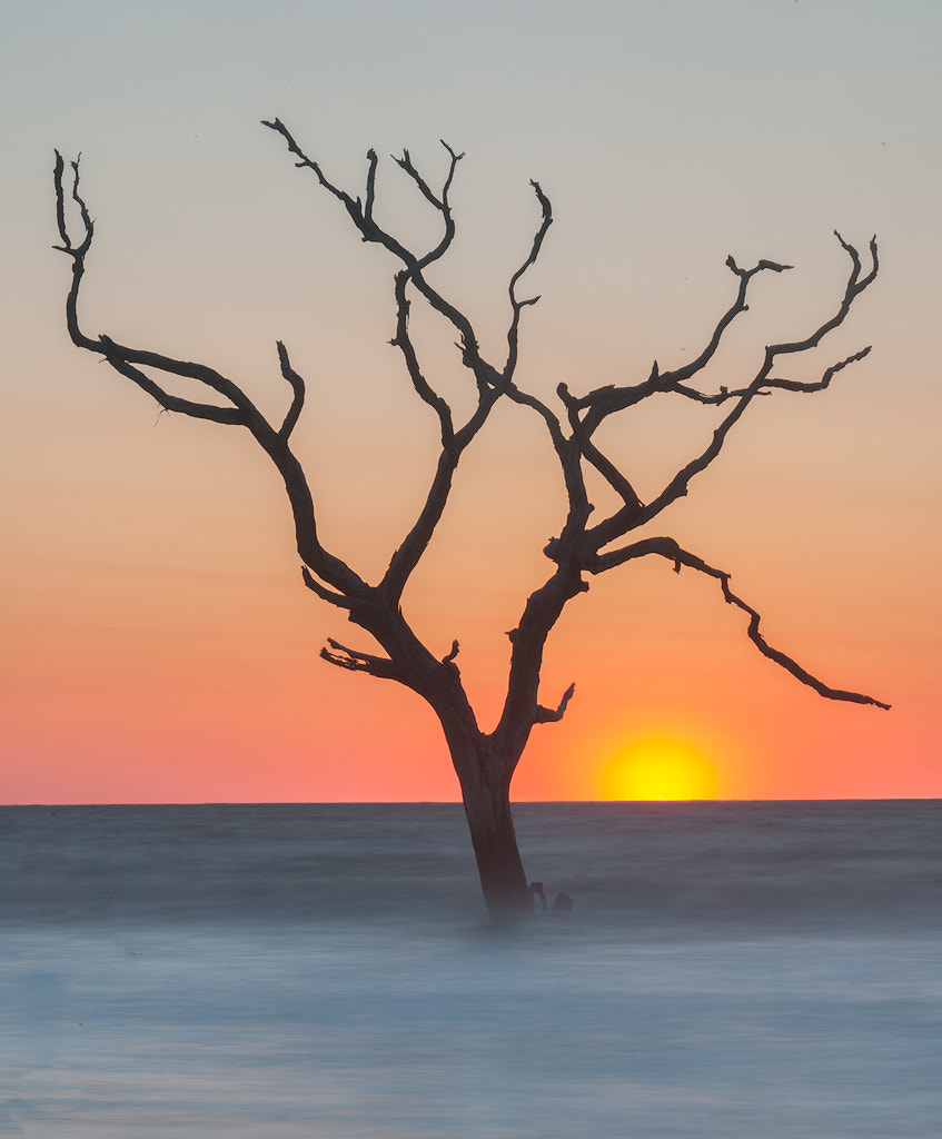 Nikon D3X sample photo. Ocean dawn photography