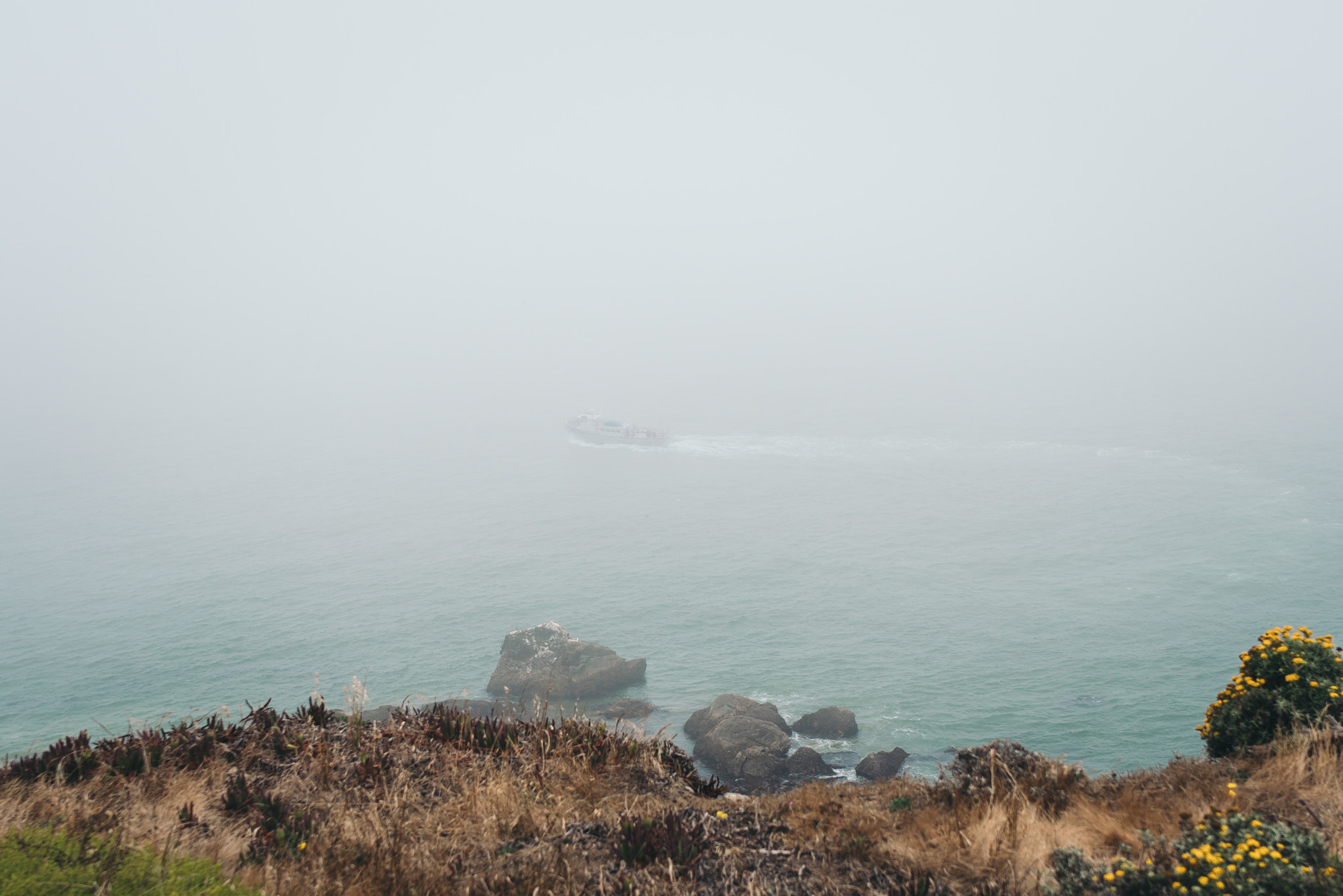 Sony a7R II + Sony Distagon T* FE 35mm F1.4 ZA sample photo. Into the sea photography