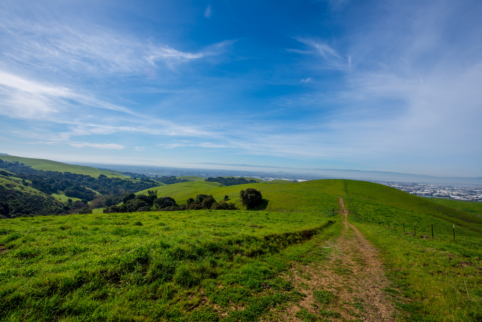 Nikon AF-S Nikkor 14-24mm F2.8G ED sample photo. Rolling green hills photography