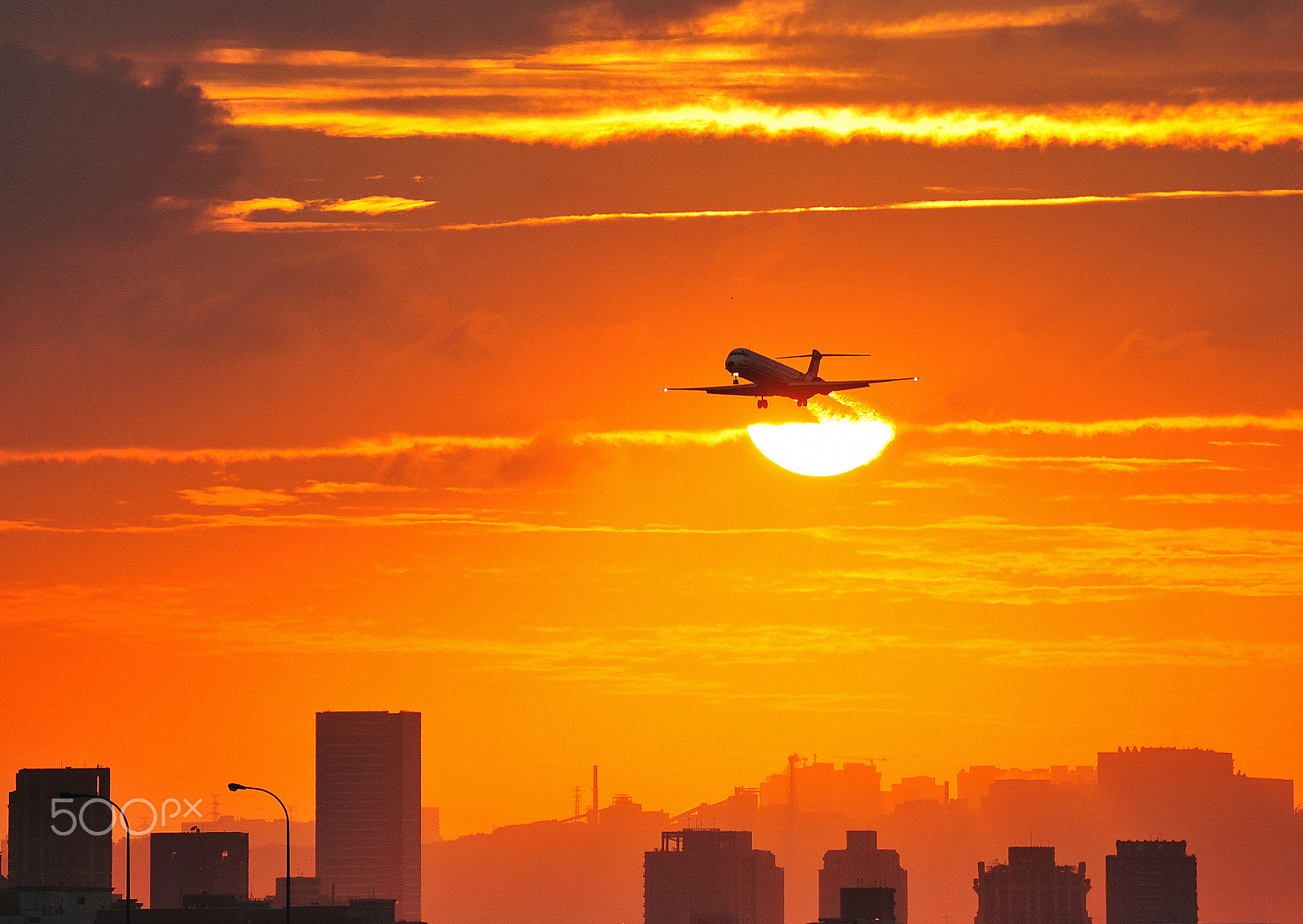 Nikon D700 sample photo. Fly over the sun photography