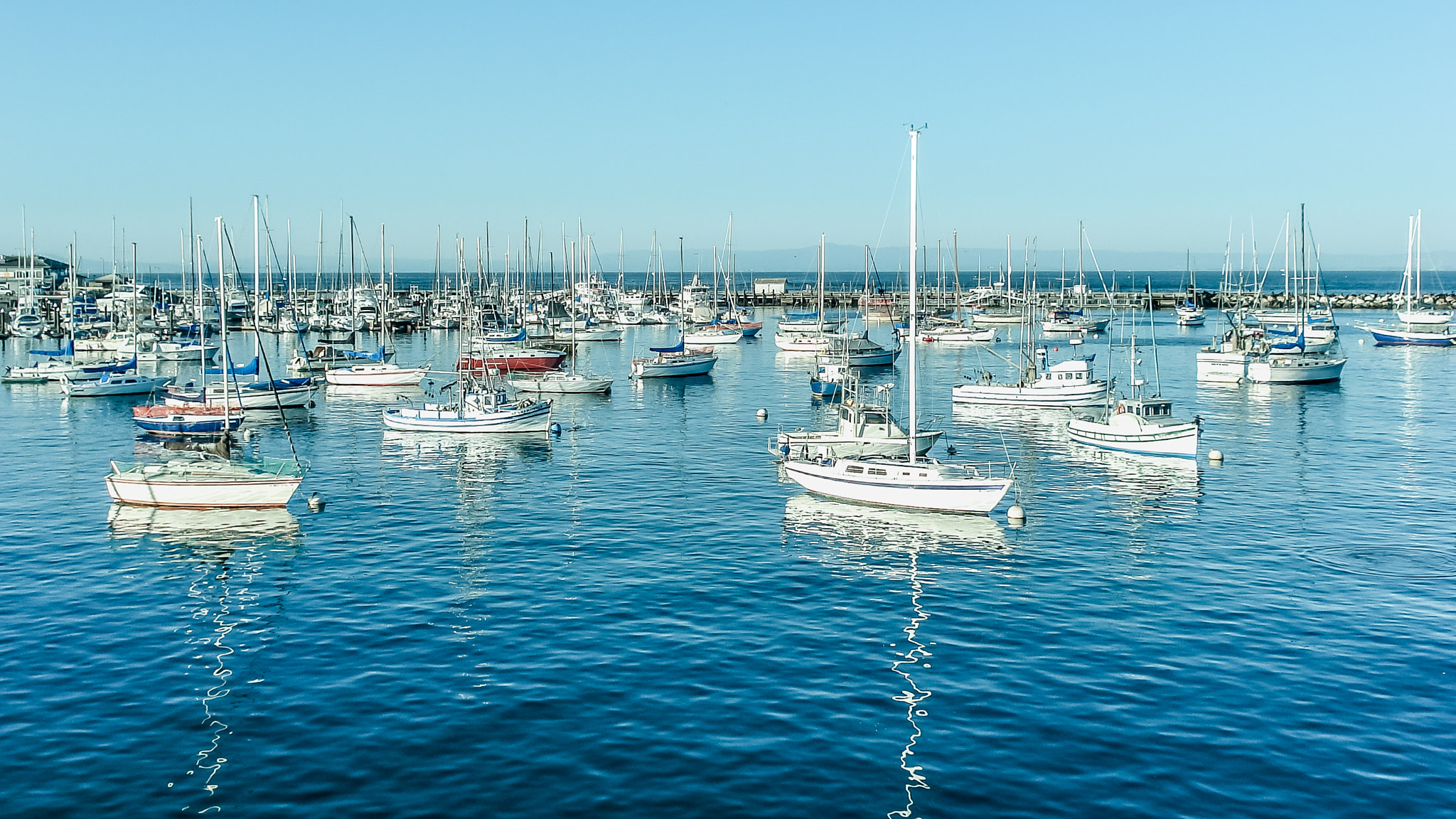 Sony DSC-W50 sample photo. Monterey bay marina photography