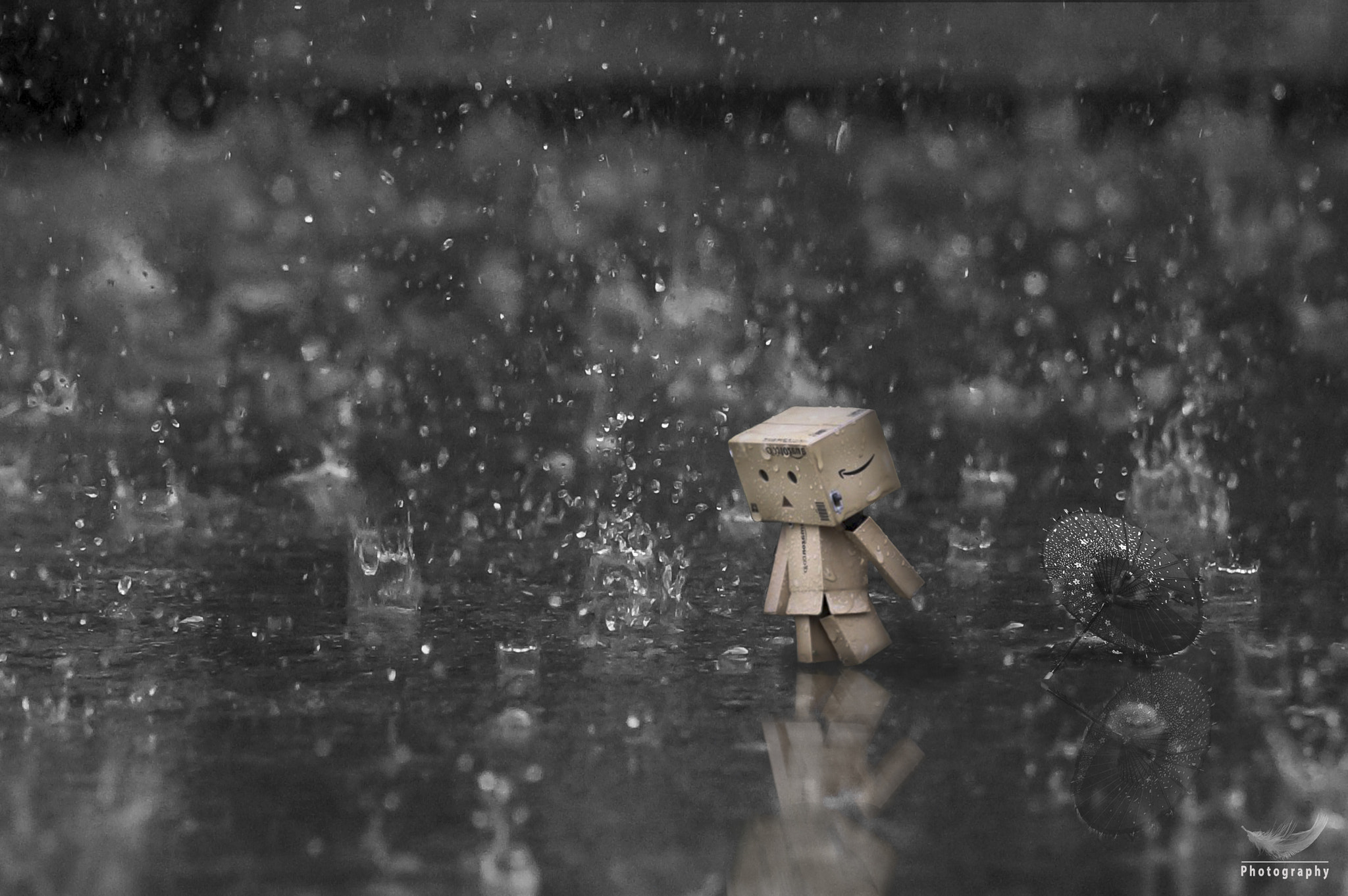 Sony DT 18-135mm F3.5-5.6 SAM sample photo. Rain photography