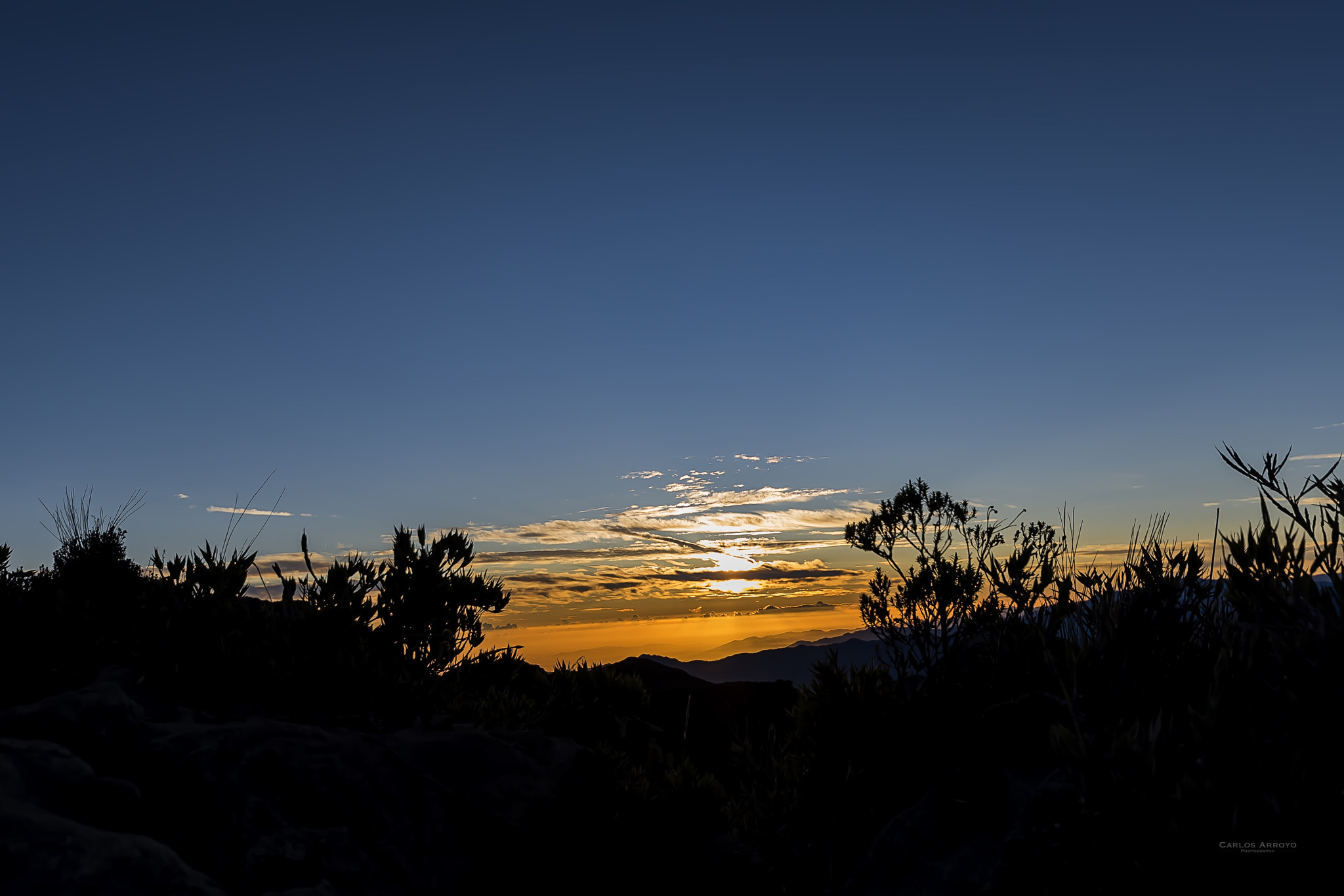 Sigma 10-20mm F3.5 EX DC HSM sample photo. E photography