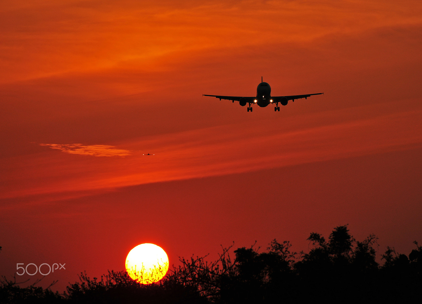 Nikon D700 sample photo. Plane in sunset photography