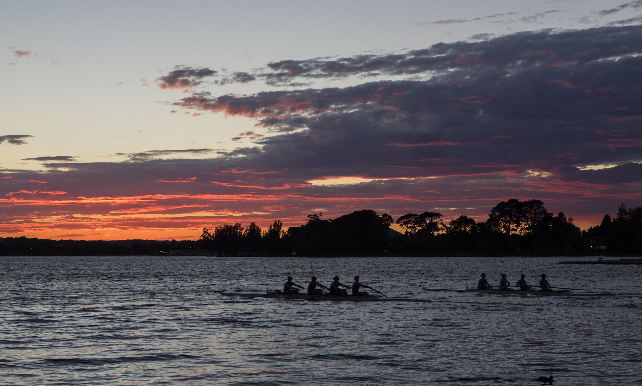 Olympus OM-D E-M1 sample photo. Rowing at sunrise photography