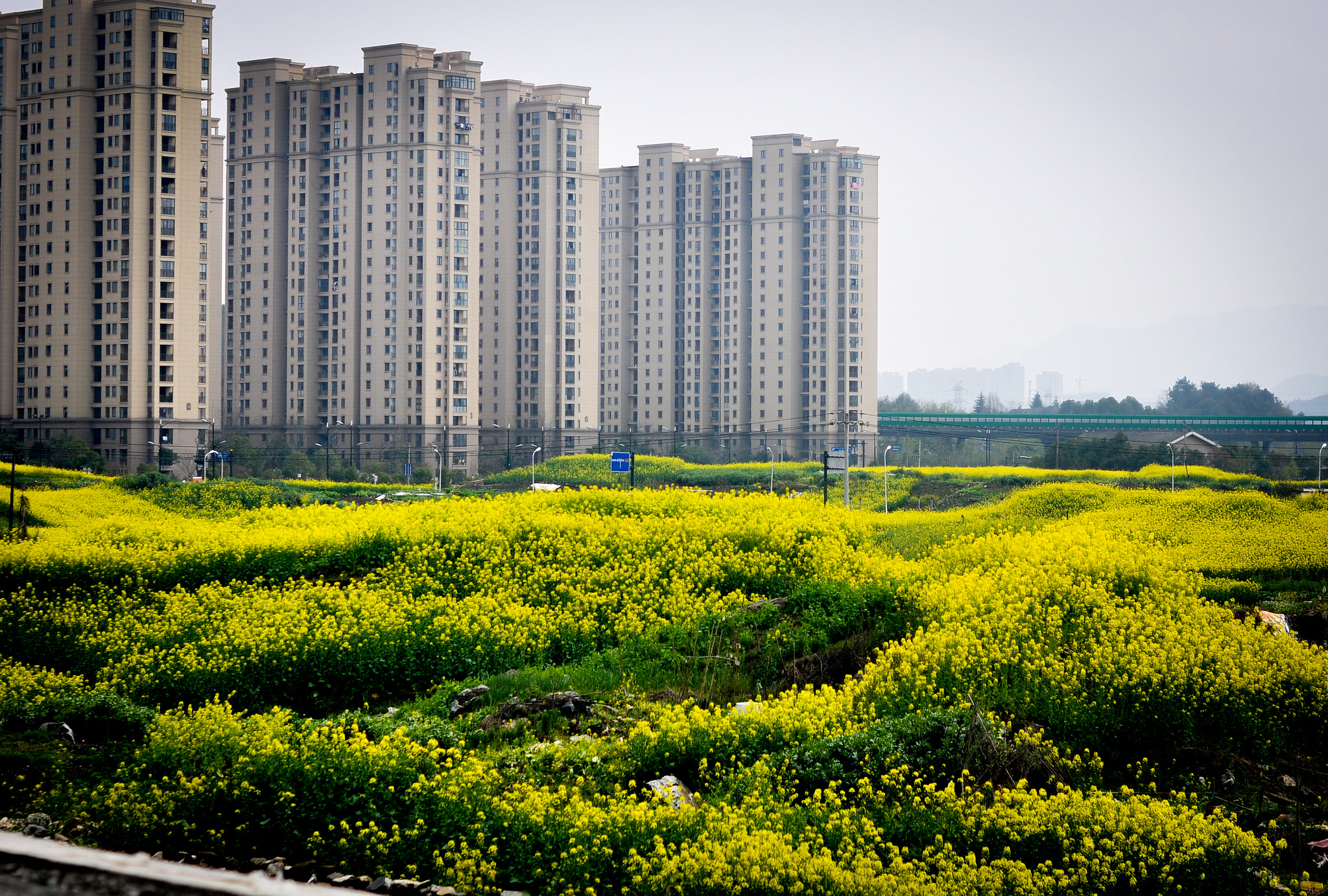 Nikon D90 sample photo. Hangzhou spring outing photography