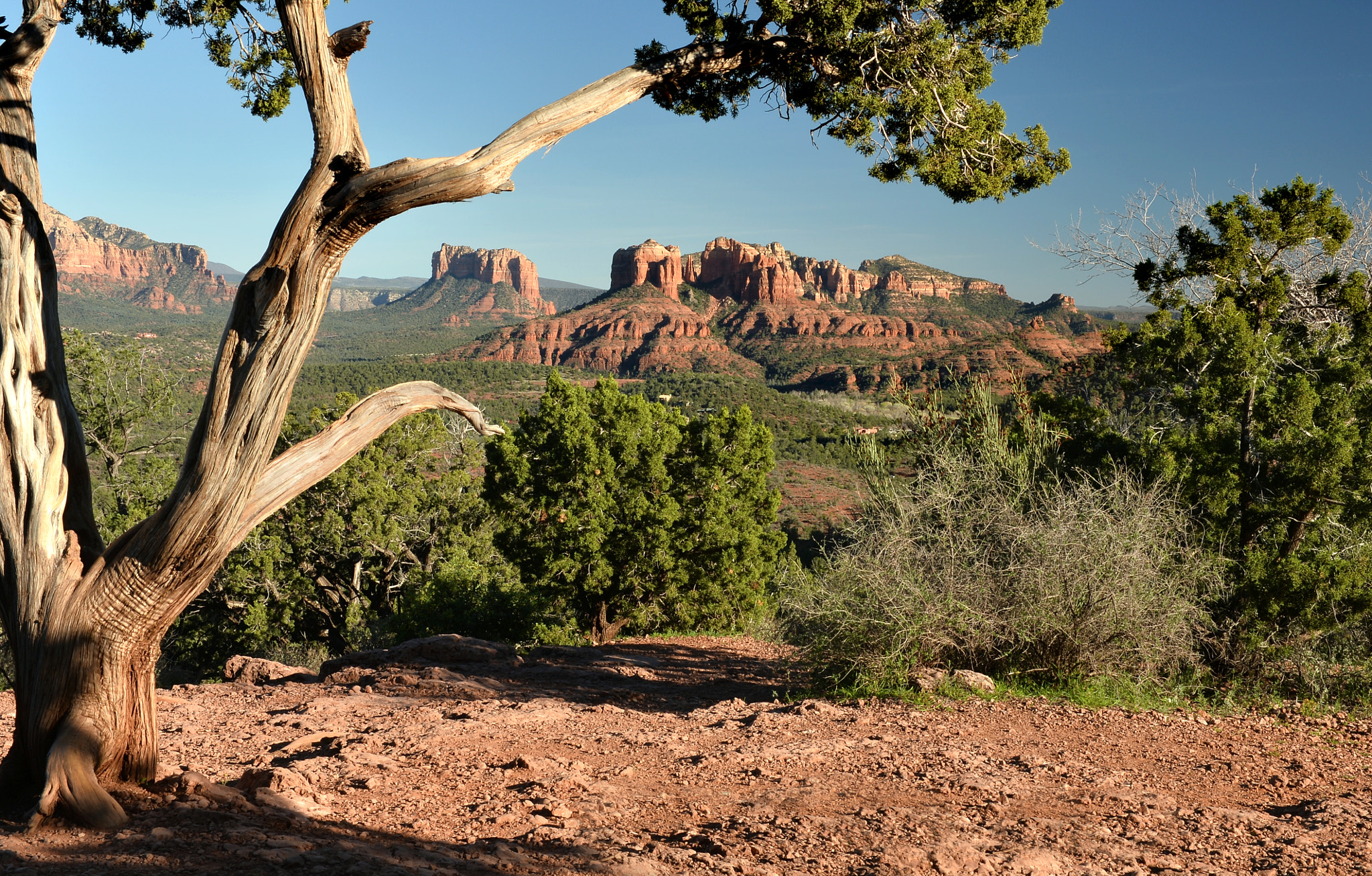 Nikon AF-S Nikkor 24-70mm F2.8G ED sample photo. Sedona arizona photography