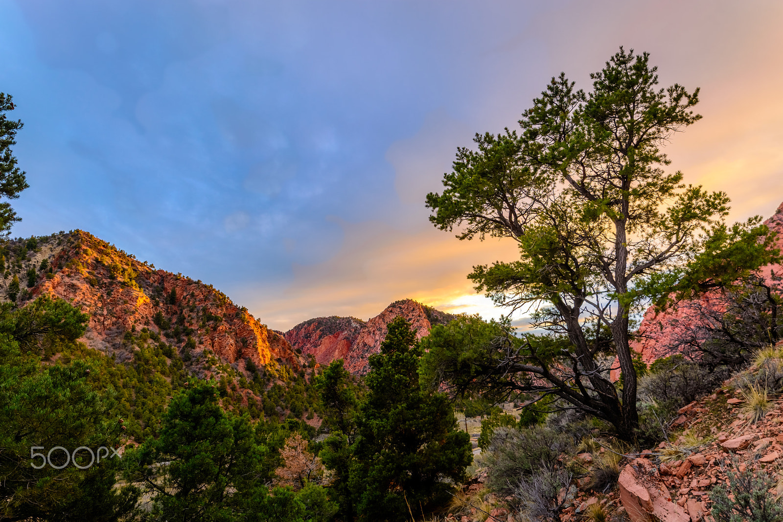 Samyang 14mm F2.8 ED AS IF UMC sample photo. Sunset in cedar canyon photography