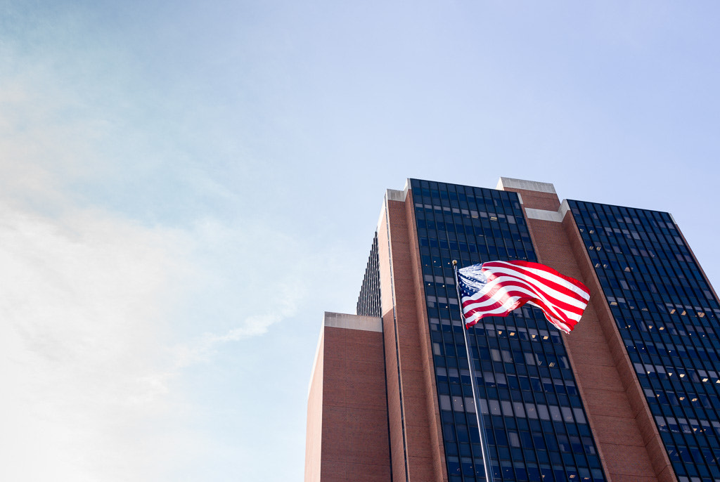 Sony Cyber-shot DSC-RX1R + 35mm F2.0 sample photo. Federal flag photography