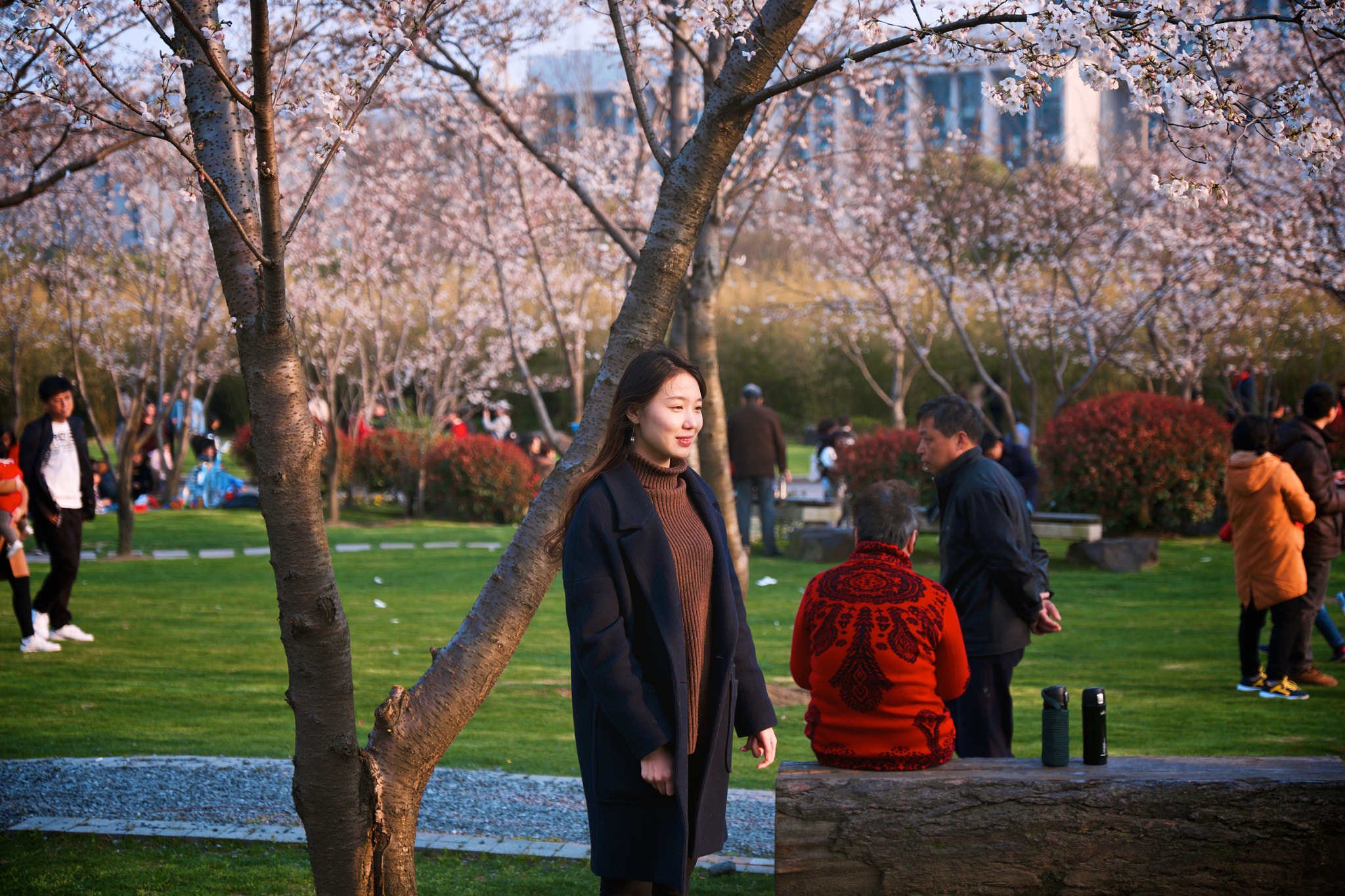 Fujifilm X-T1 + Fujifilm XF 16-55mm F2.8 R LM WR sample photo. 赏樱花的人们 photography