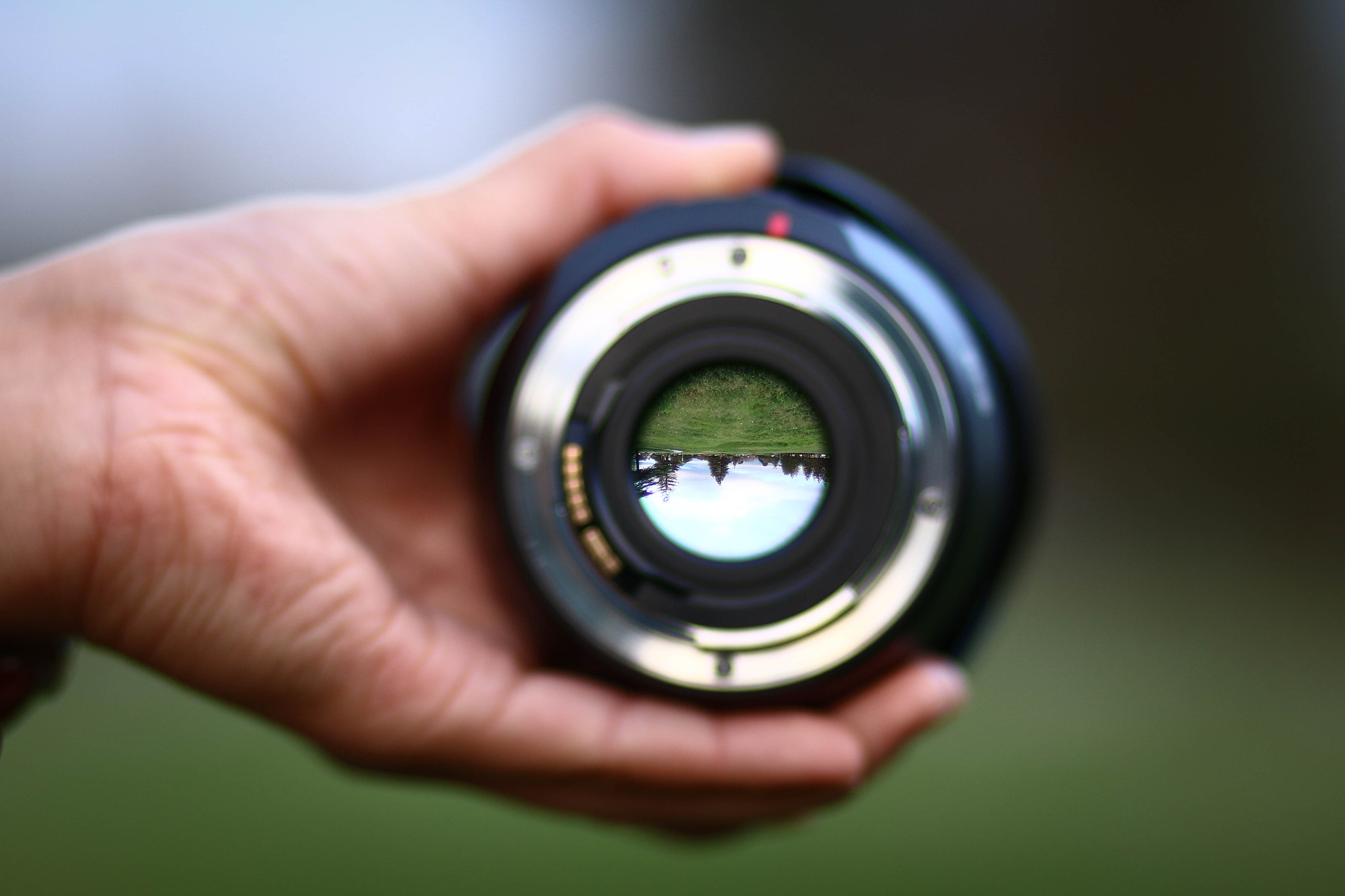 Canon EOS 70D + Canon EF 85mm F1.8 USM sample photo. World in your hands photography